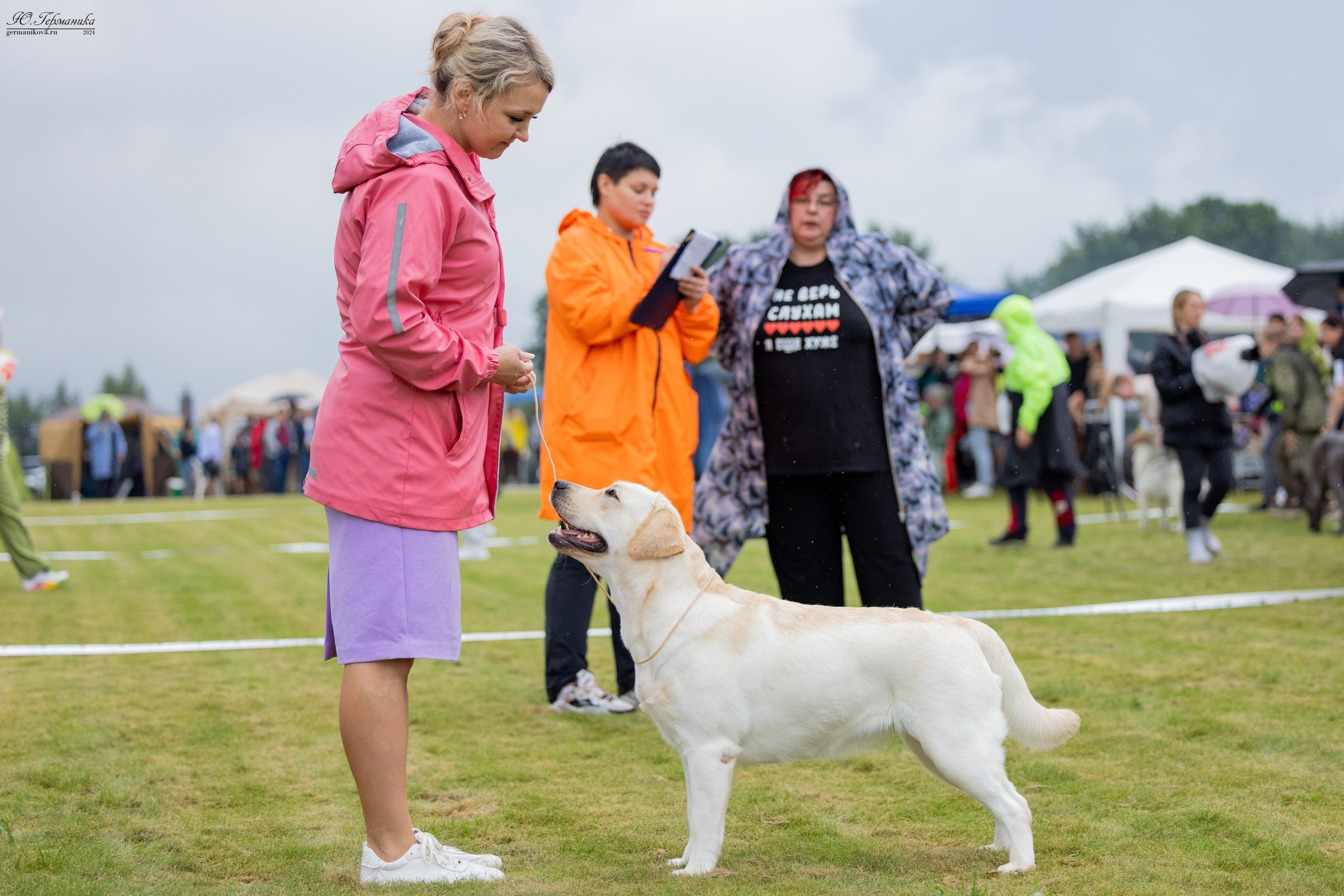 Ярославль 21.07.24 и Балашиха 13.07.24. Фотограф-анималист Юлия Германика