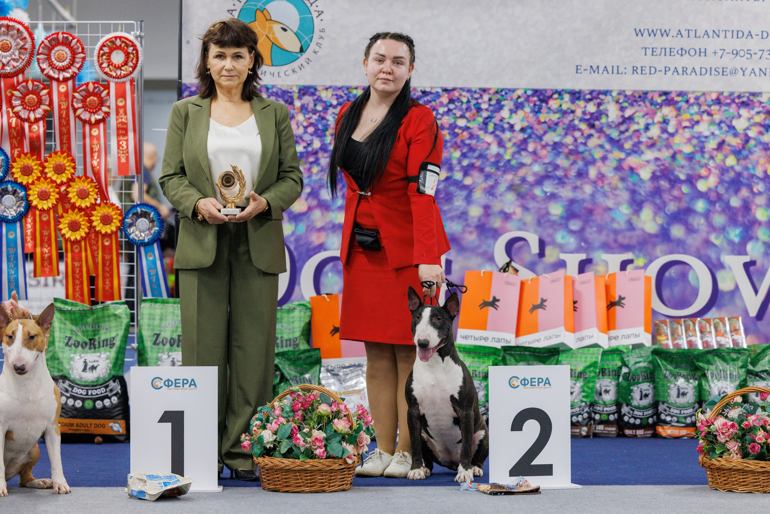 Сфера 28.01. и 4.02.2024. Фотограф-анималист Юлия Германика