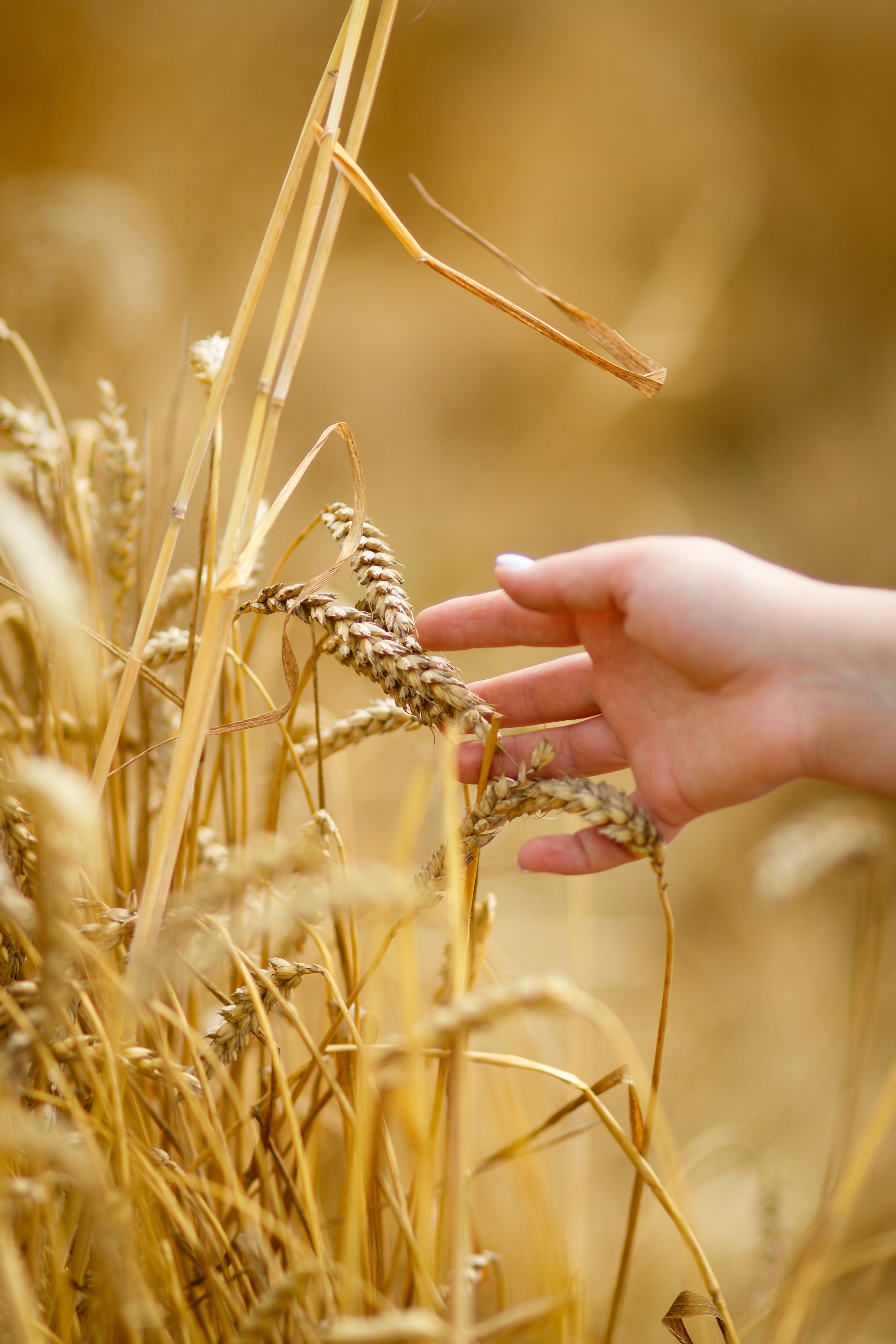 Валерия. Фотограф Антон Джавадян