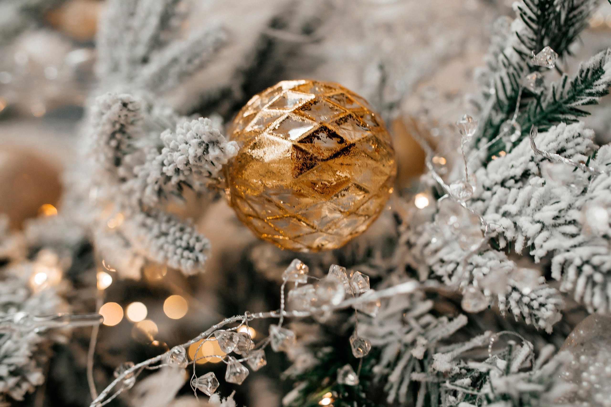 Новогодняя тематика. Команда фотографов Кристины Ивановой