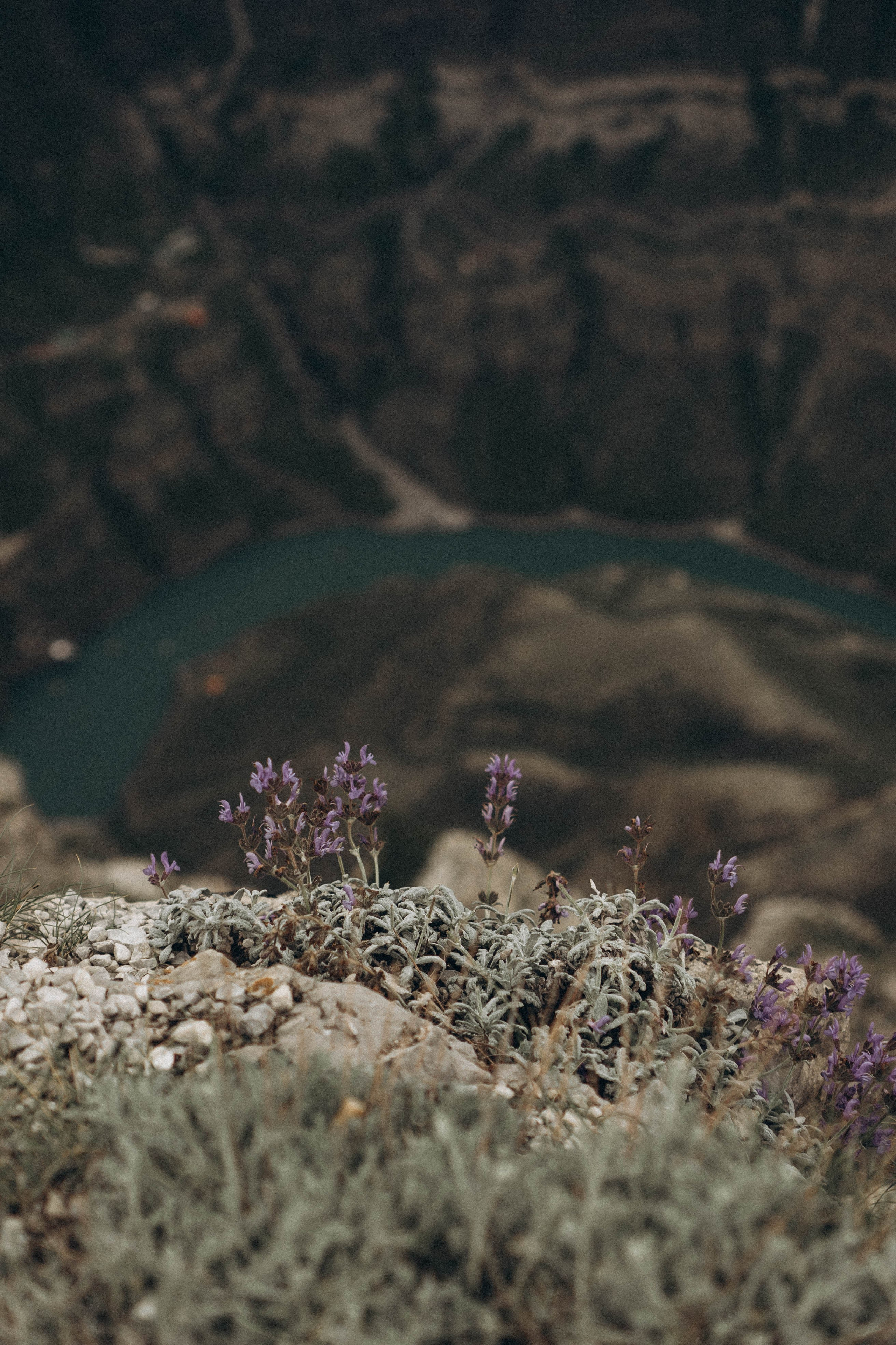 Кавказ. Профессиональный фотограф, Санкт-Петербург — Виктория Богомолова