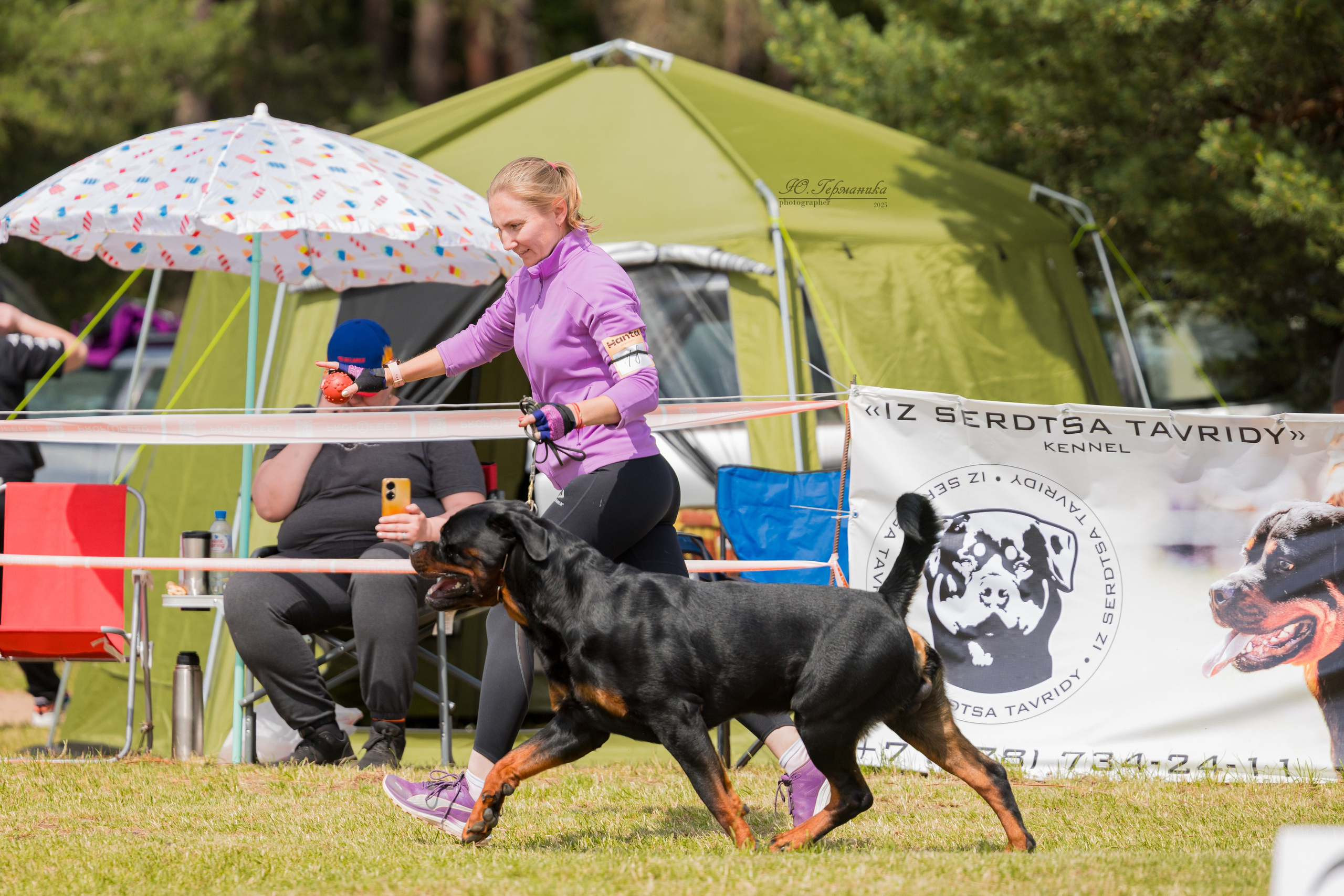 Тверь ротвейлеры 5-6.07.2025. Фотограф-анималист Юлия Германика