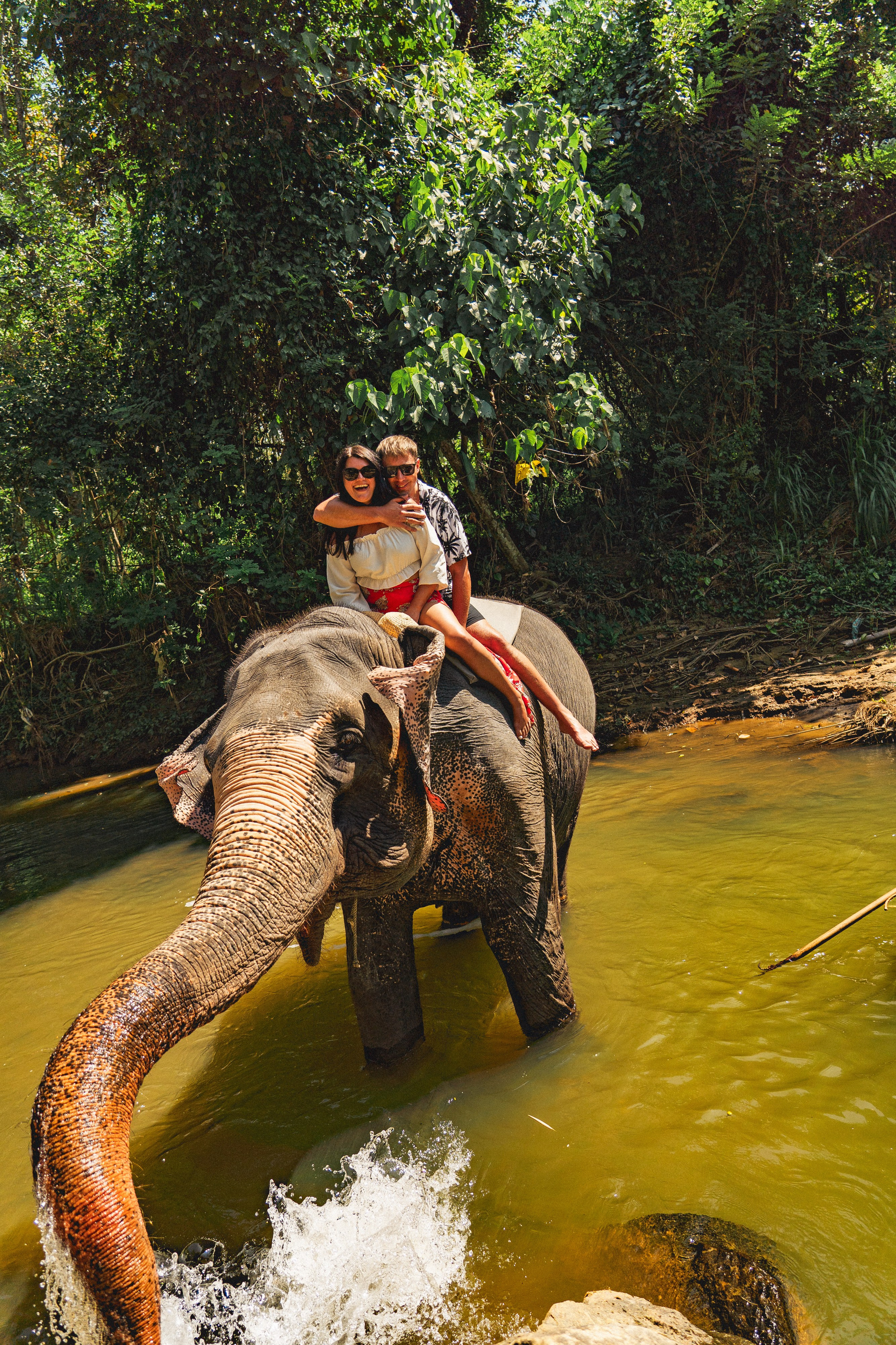 Bathing with elephants in Pinnawala, Botanical Garden