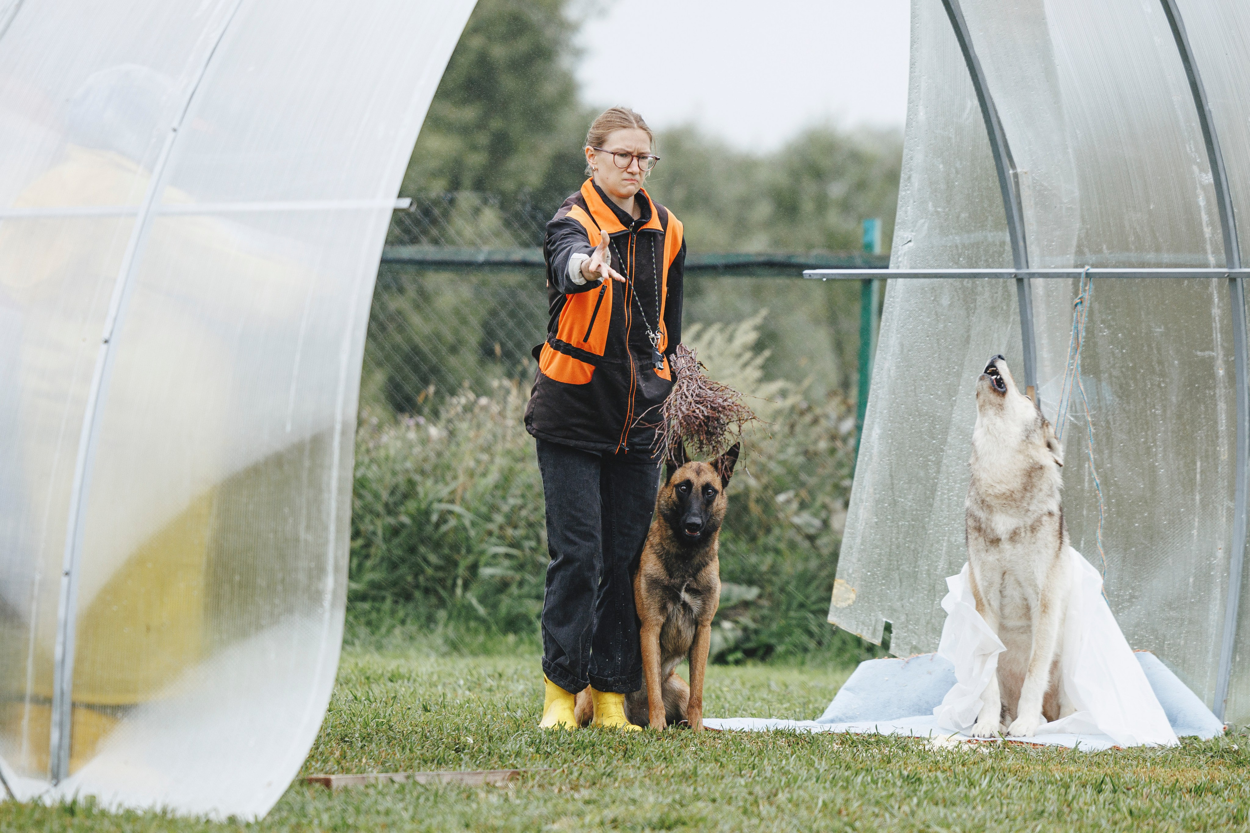 08.08.25-10.08.25 ЧР по мондьорингу г. Вологда. Фотограф-анималист Анна Маринич