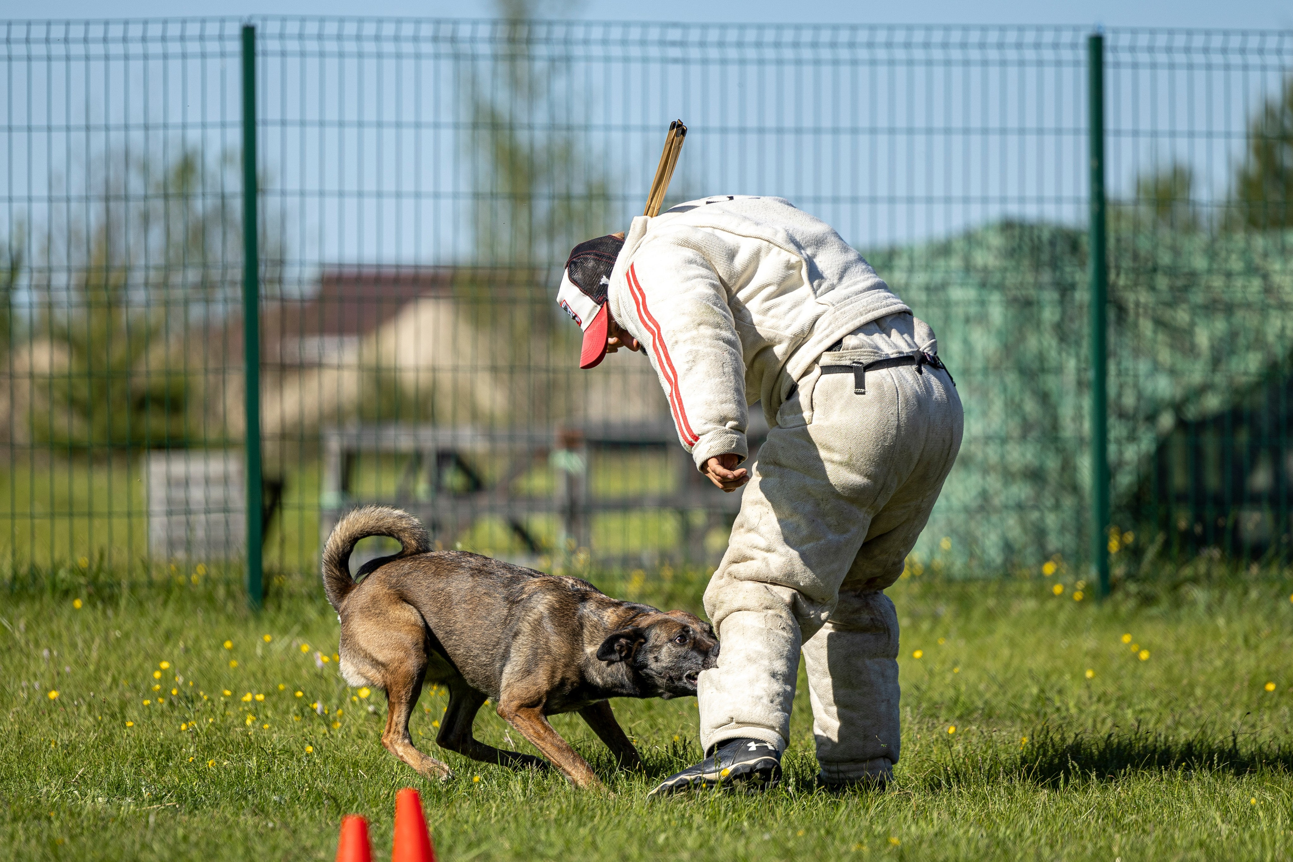 Испытания по мондьорингу в Нижнем Новгороде. Фотограф-анималист Анна Маринич