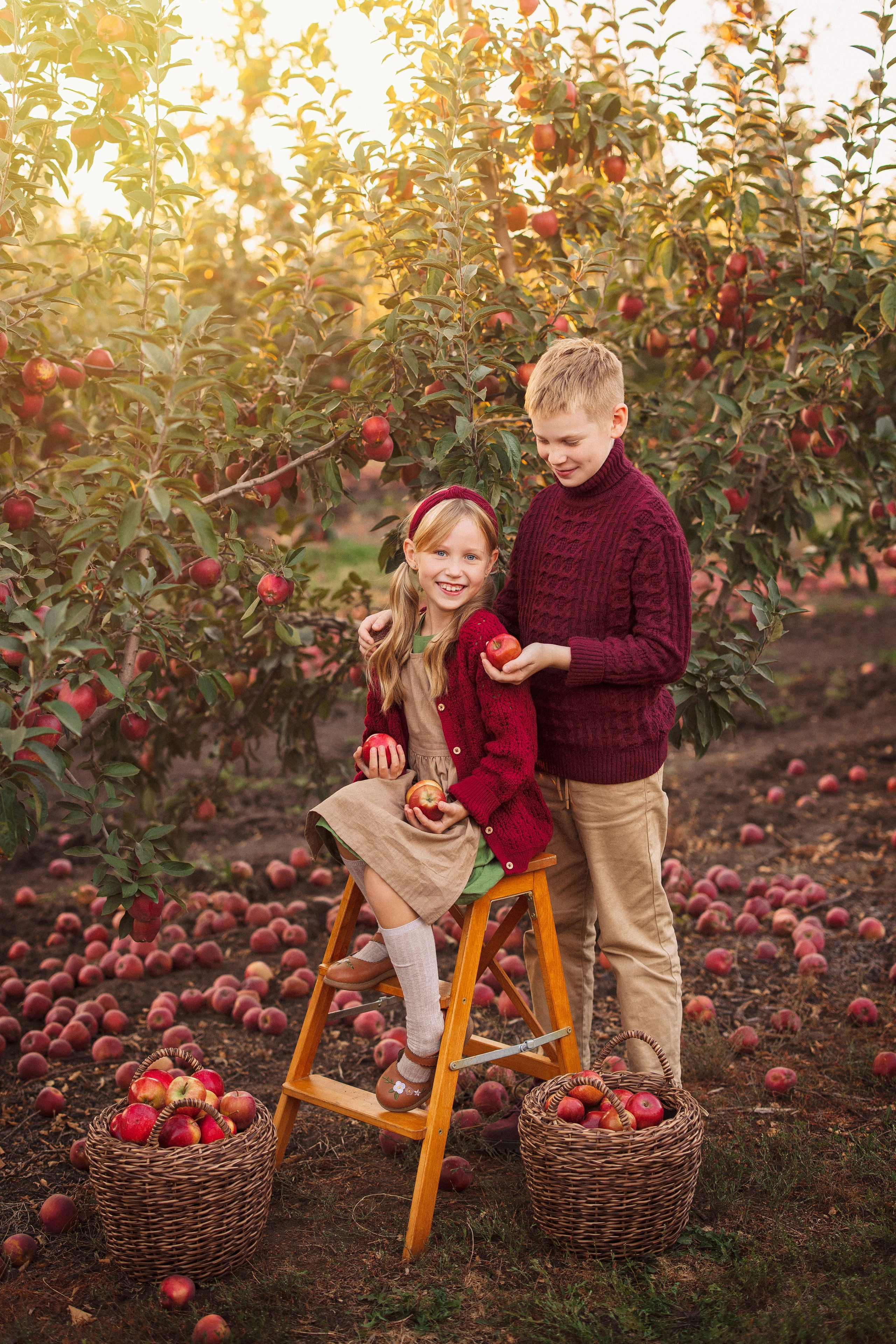 Сбор урожая Яблок. Семейный и детский фотограф в Краснодаре Анна Трашкова