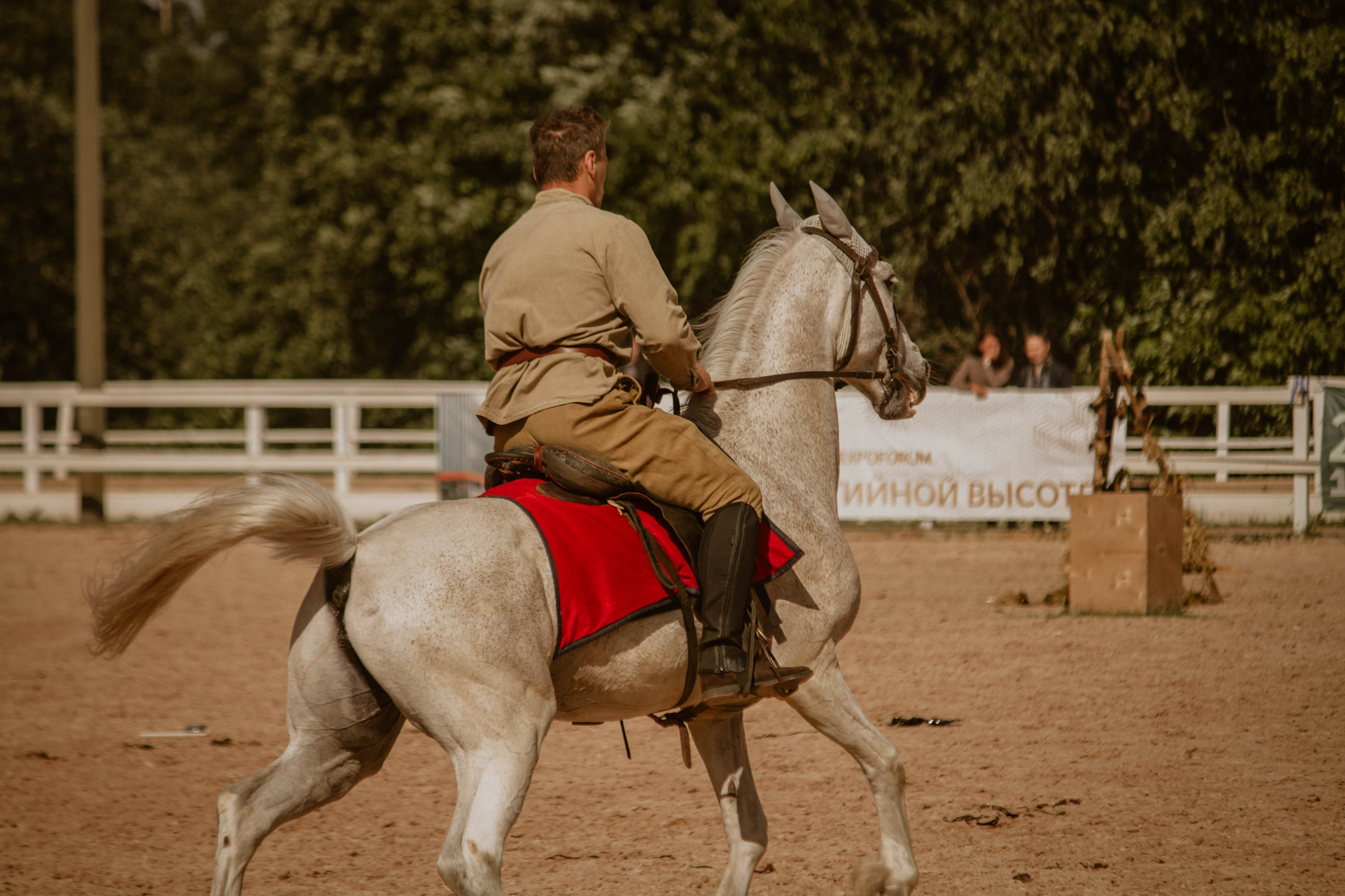 ИППОСФЕРА — Международная конная выставка. Создадим шедевр? Виталина и её фотоискусство