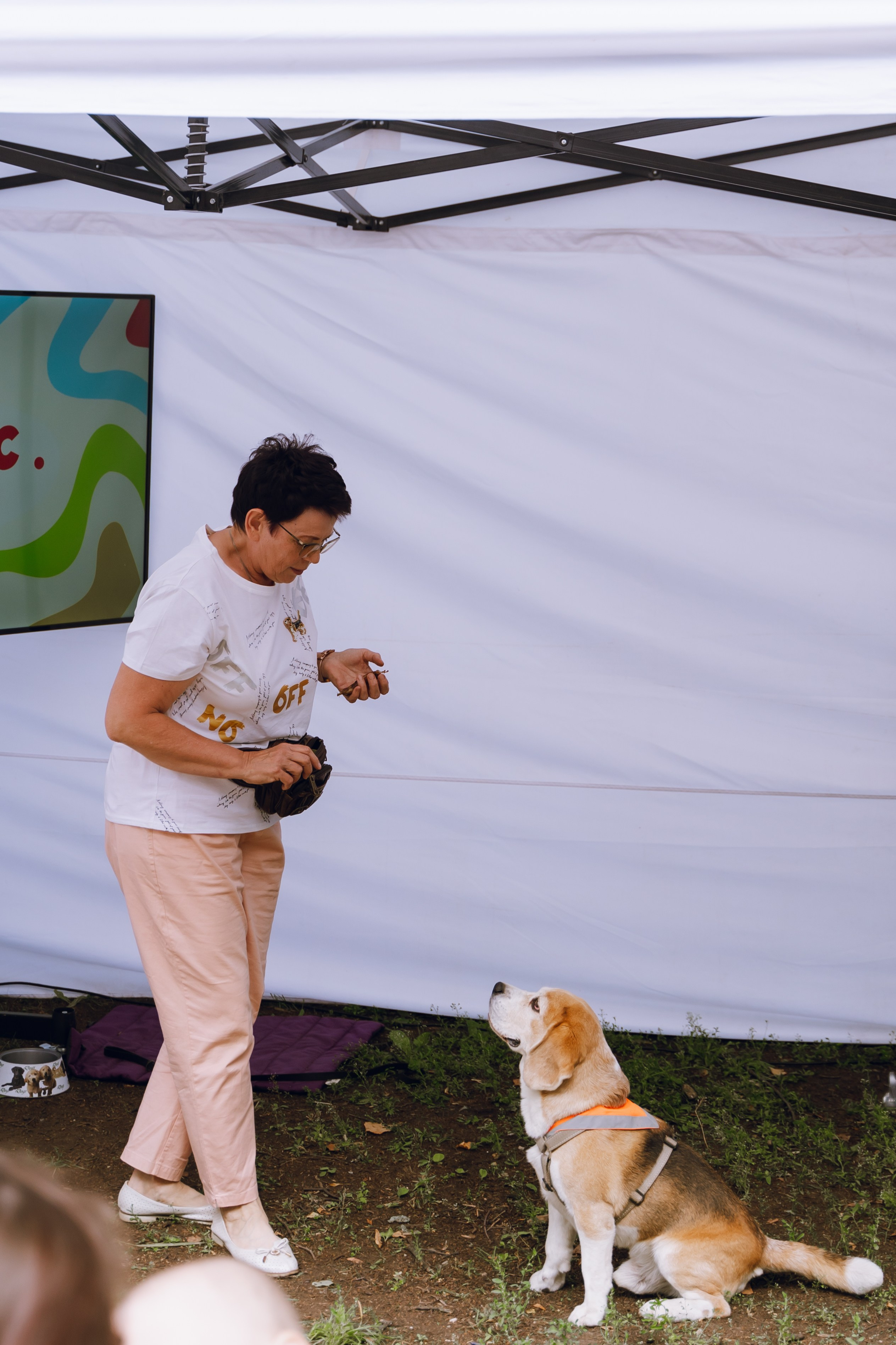 Площадка фестиваля «Мампус и его друзья» в Лесопарке 2025. Фотограф Надежда Погребняк | Рязань | Москва