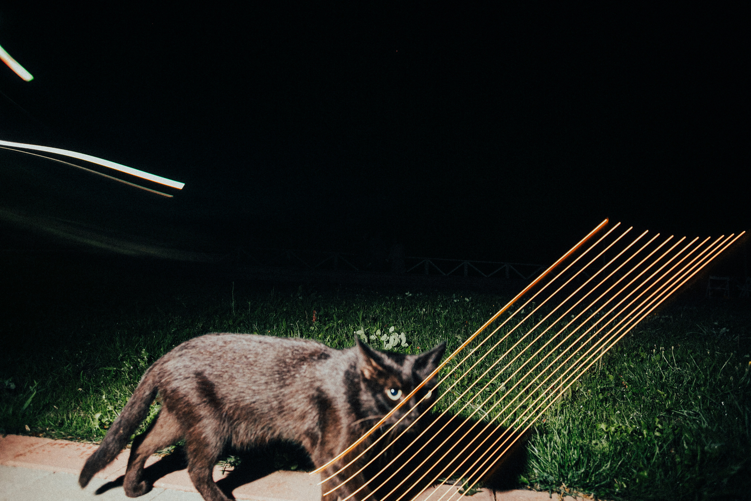 Иван и Елена. Свадебный фотограф Владимир Воронин