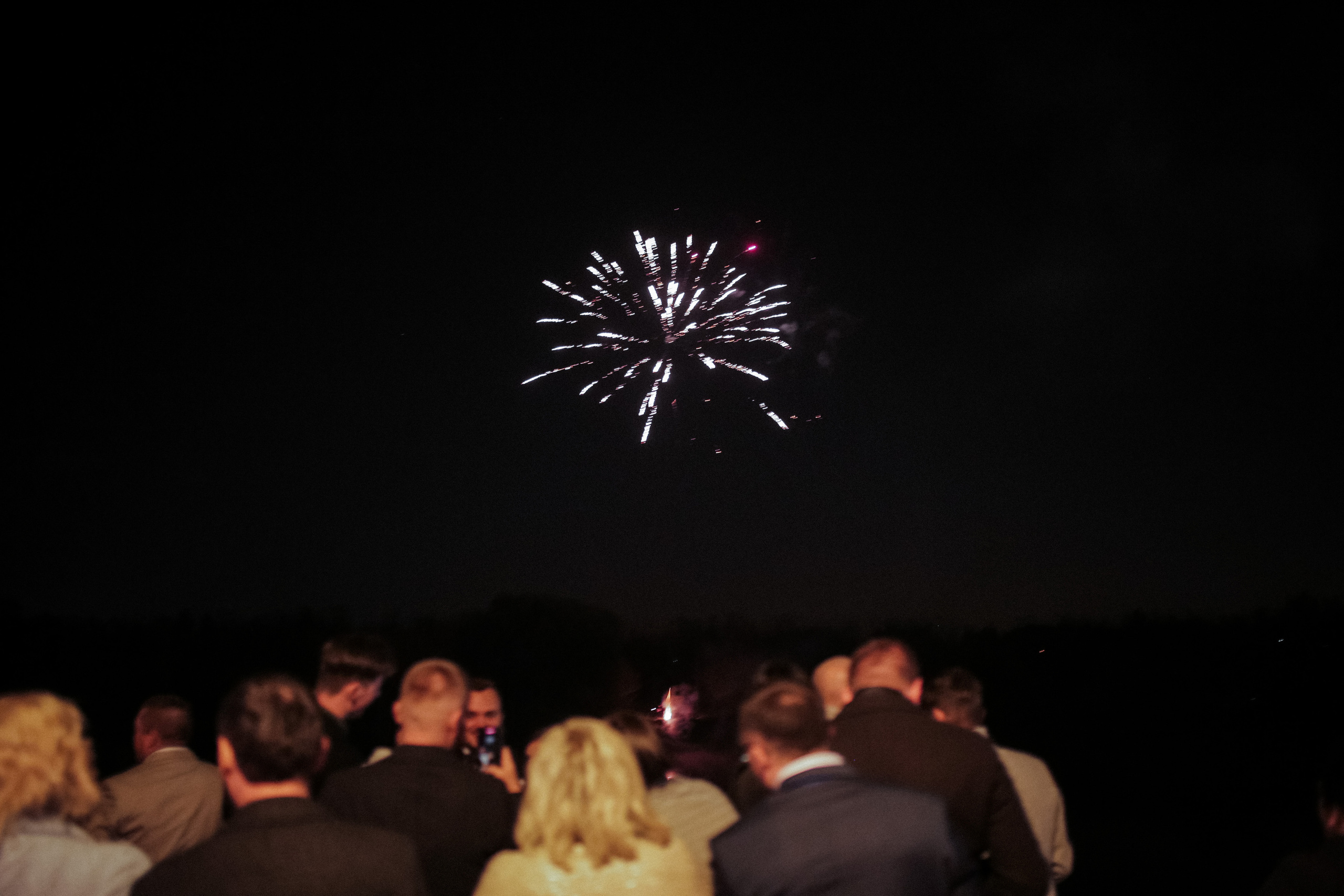 Никита и Валерия. Свадебный фотограф Владимир Воронин