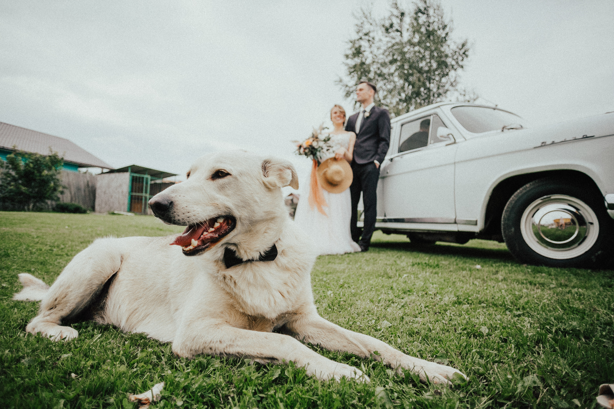 Иван и Елена. Свадебный фотограф Владимир Воронин