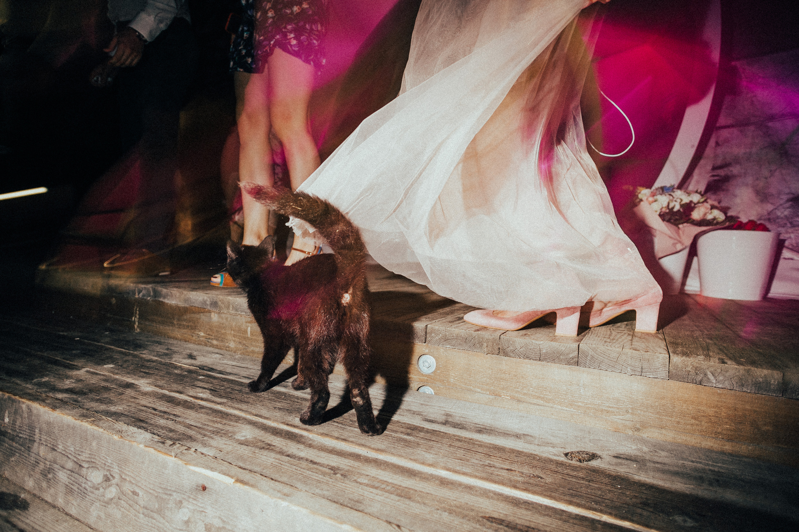 Иван и Елена. Свадебный фотограф Владимир Воронин