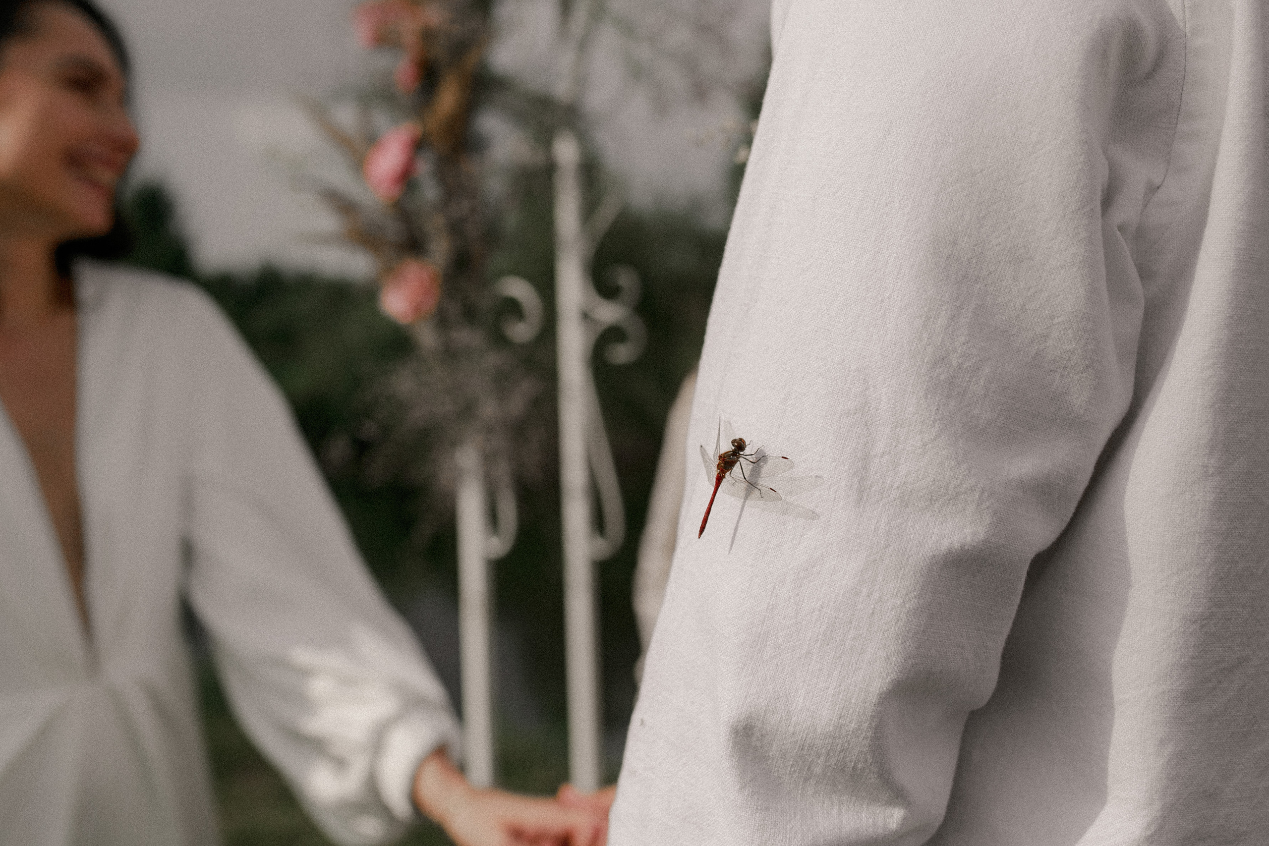 Арсений и Валерия. Свадебный фотограф Владимир Воронин