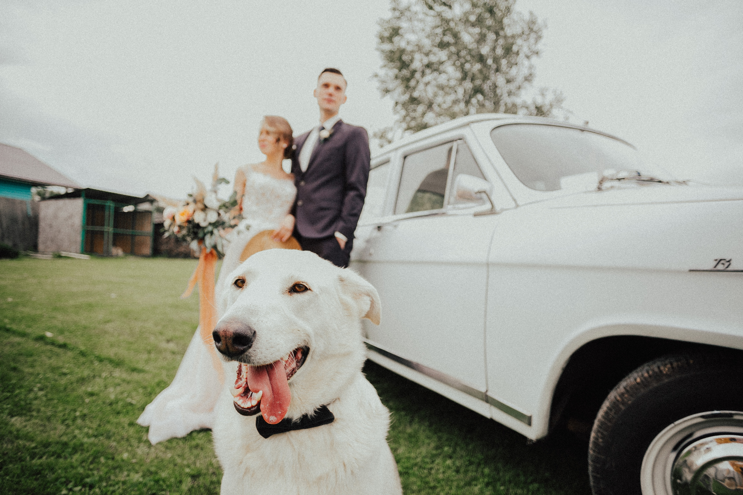 Иван и Елена. Свадебный фотограф Владимир Воронин