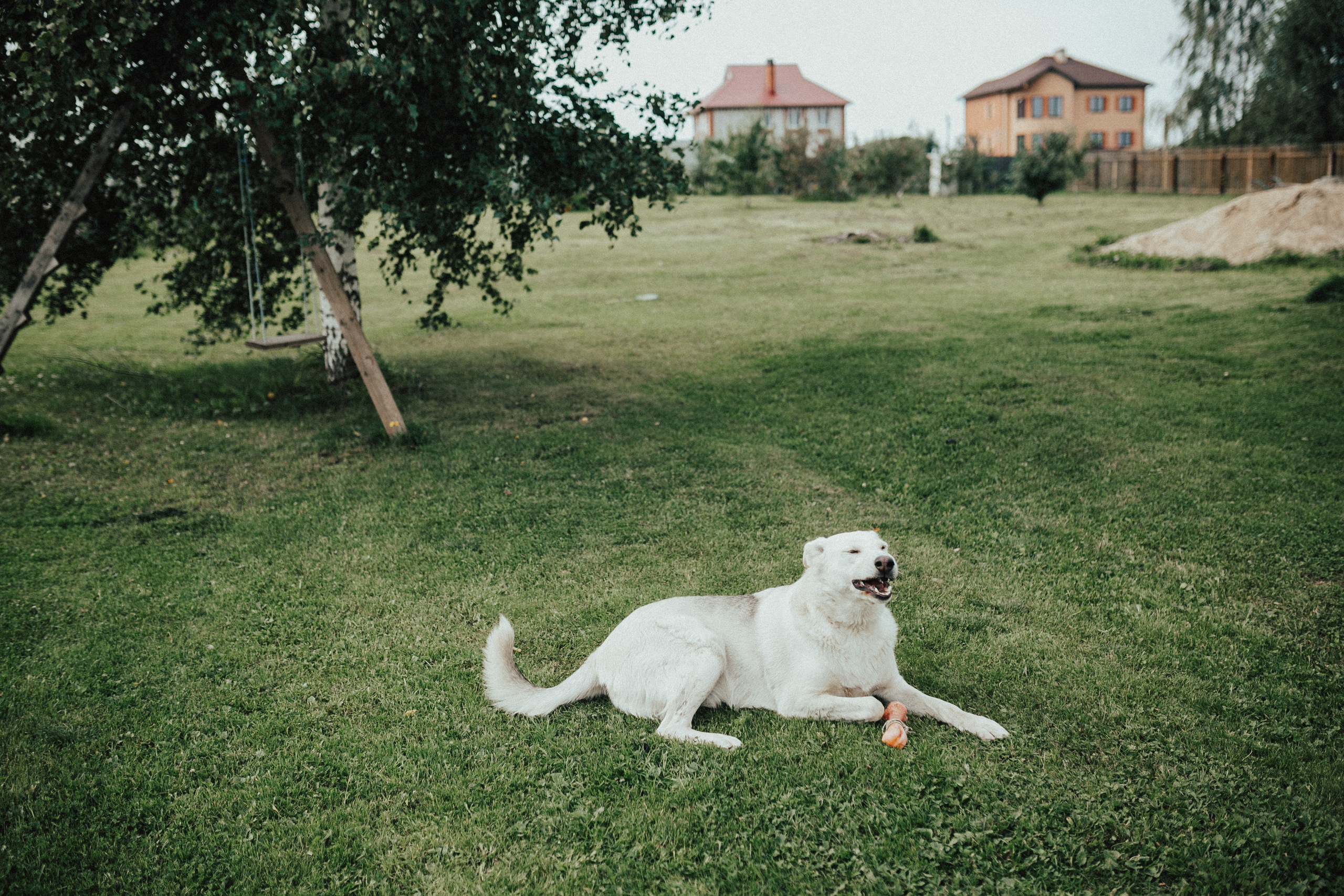 Иван и Елена. Свадебный фотограф Владимир Воронин