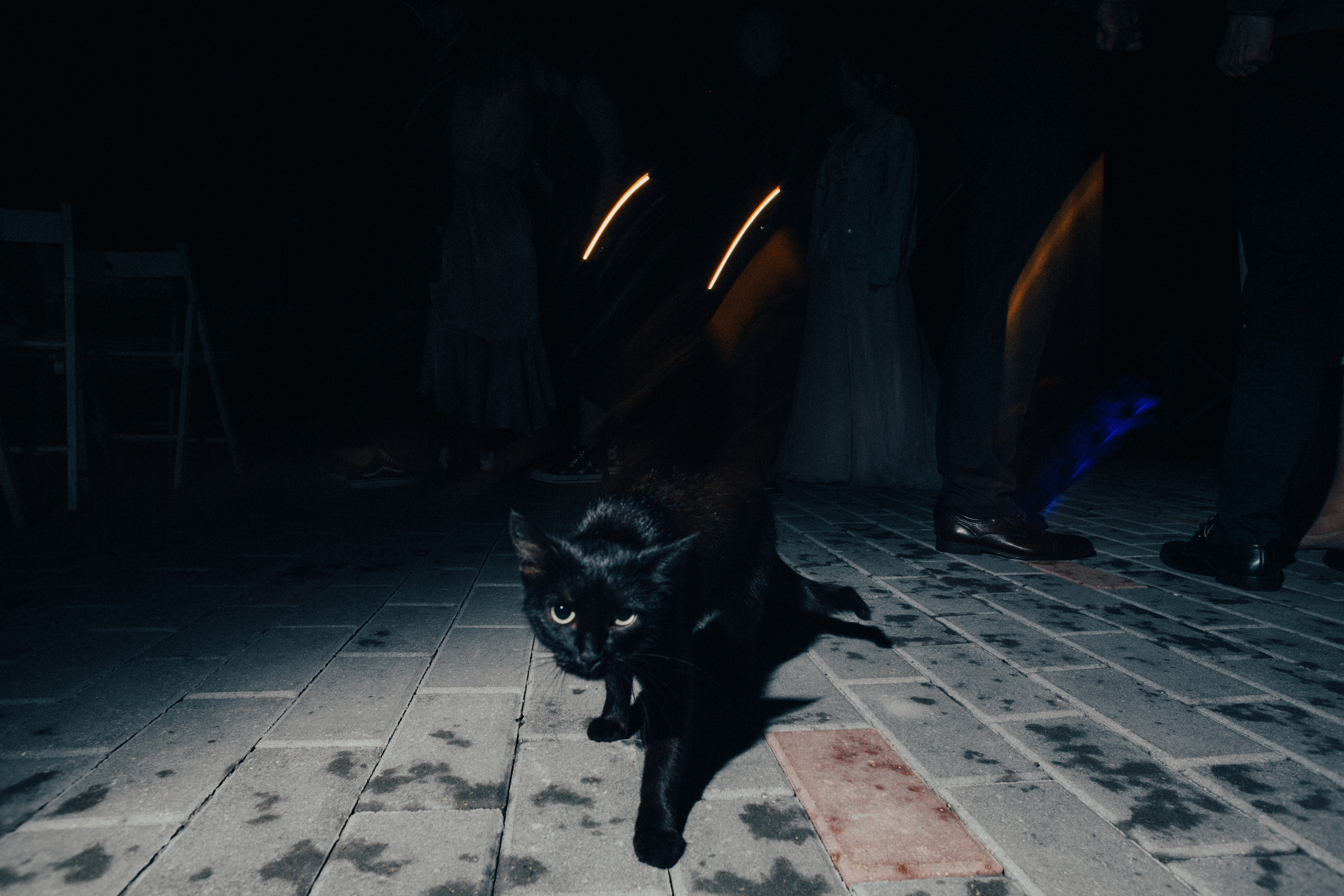 Иван и Елена. Свадебный фотограф Владимир Воронин