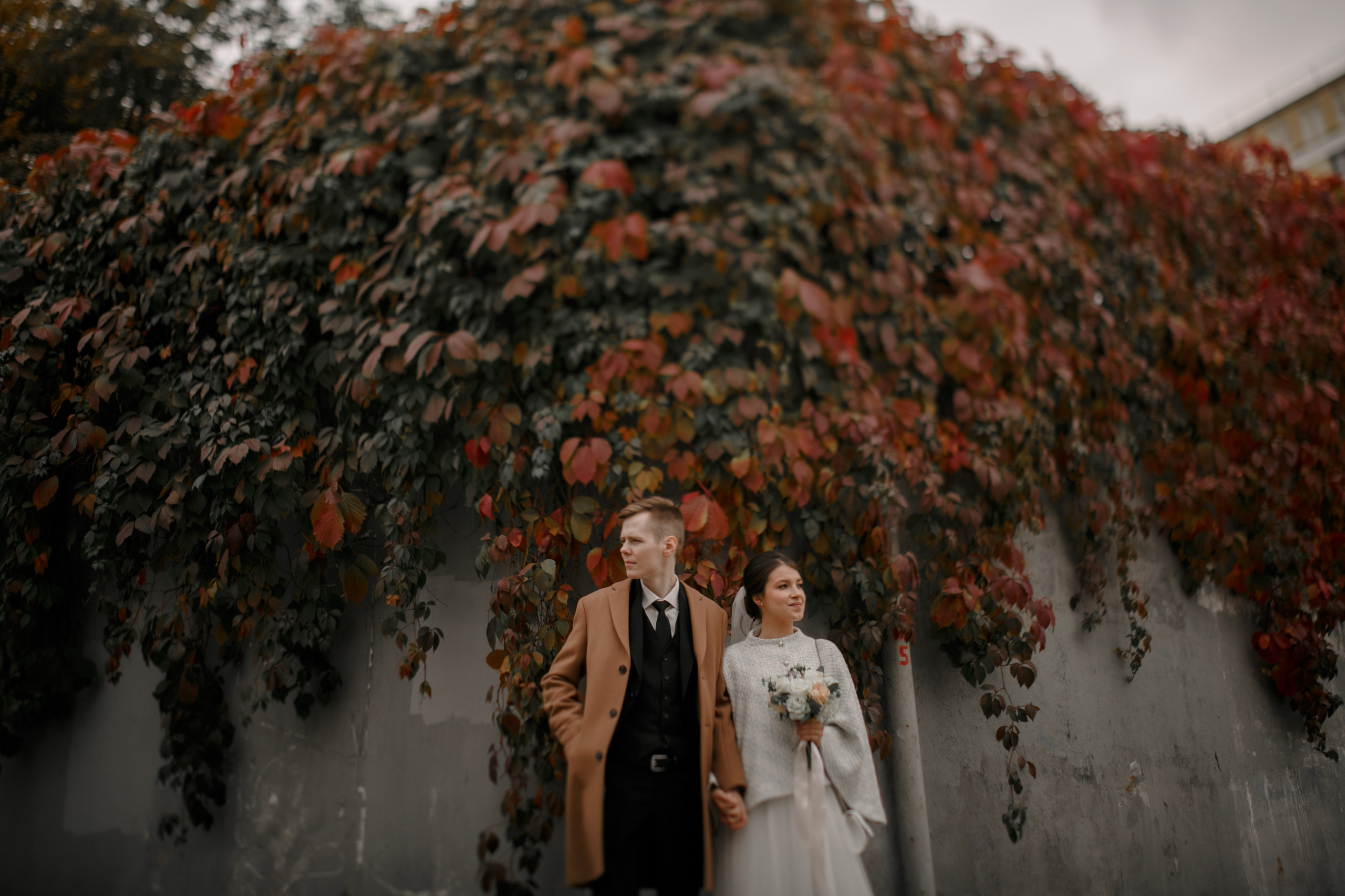 Влад и Даша. Свадебный фотограф Владимир Воронин