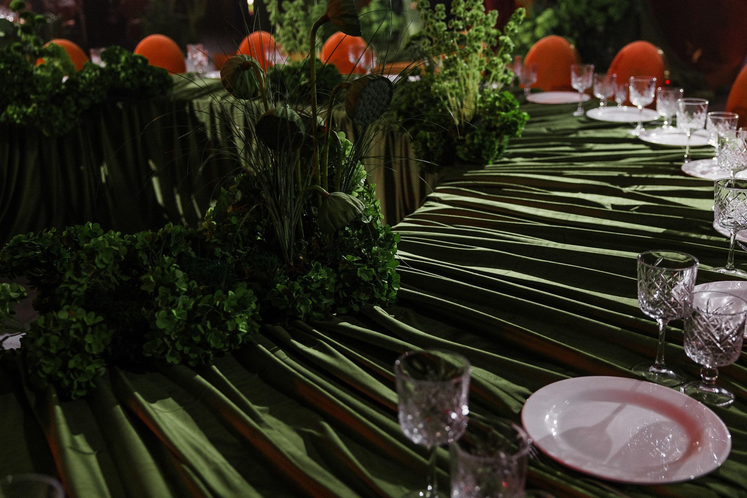 Инжир. Свадебный фотограф в Ростове-на-Дону Васильченко Сергей