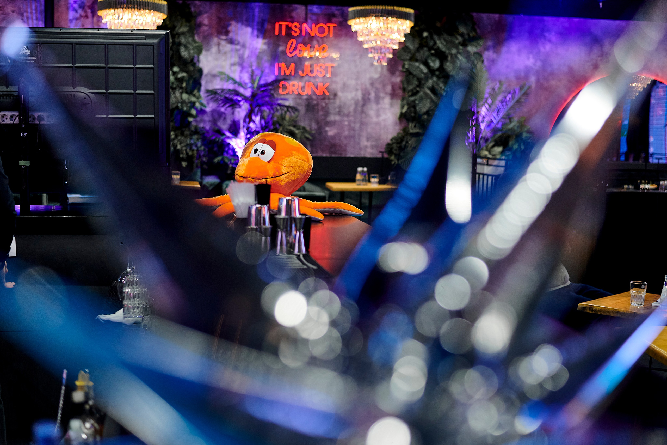 OCS Новогодний огонёк. Фотограф Постольник Дарья