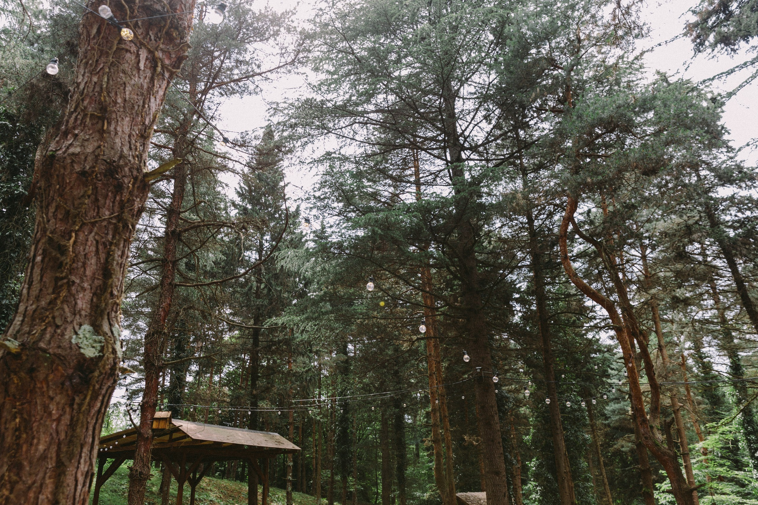 Фотограф на день рождения — ресторан Форест. Свадебный фотограф в Абхазии, Сухум, Гагра, Сочи