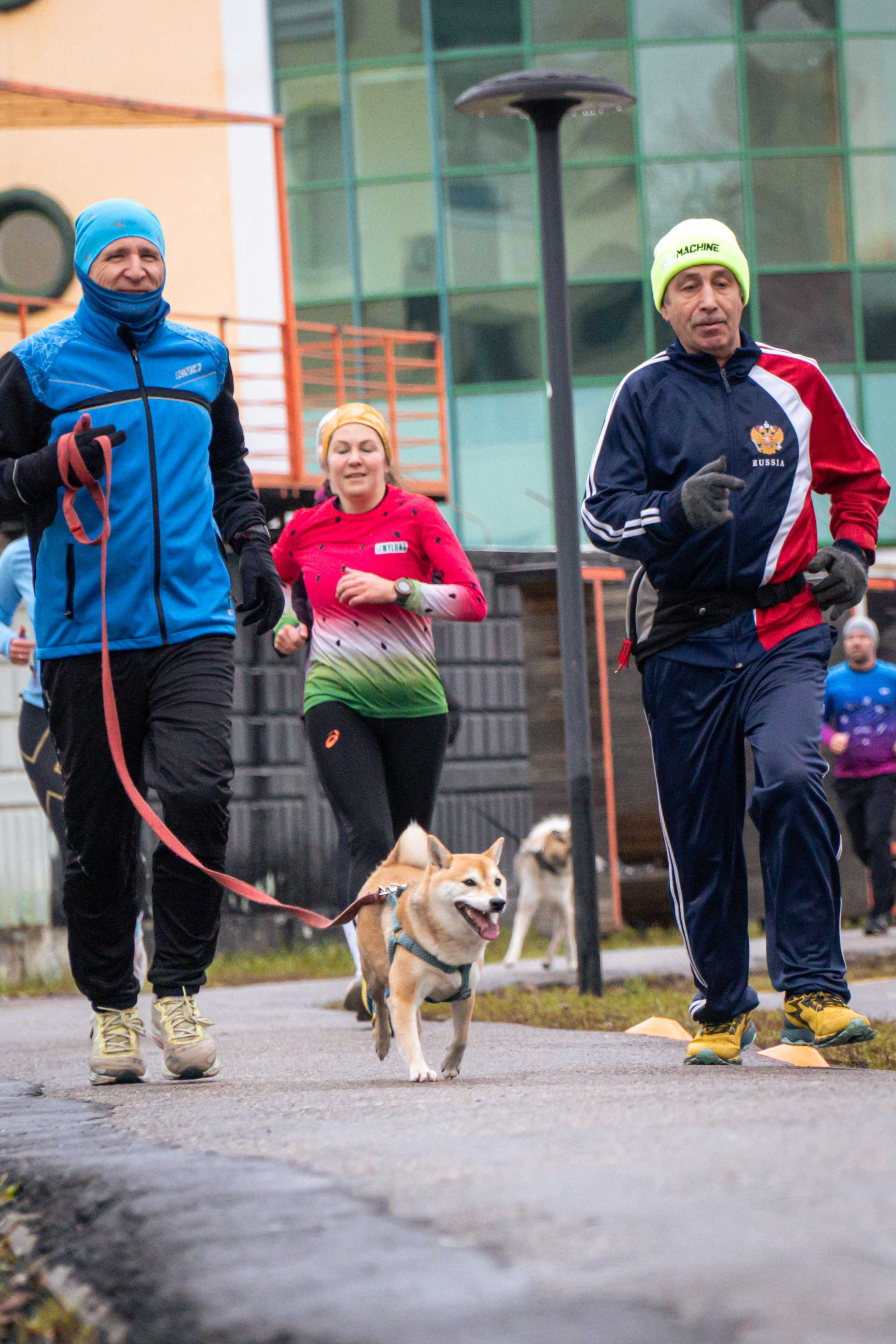 5 вёрст Реутов 16.11.2024. Роман Капилюшов. Бег. Фото. Видео. г. Люберцы