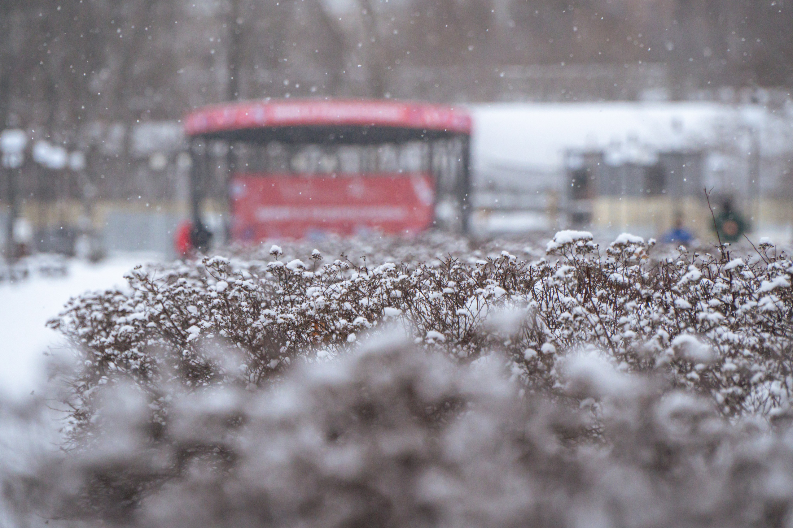 5 вёрст Наташинский 14 декабря 2024. Роман Капилюшов. Бег. Фото. Видео. г. Люберцы