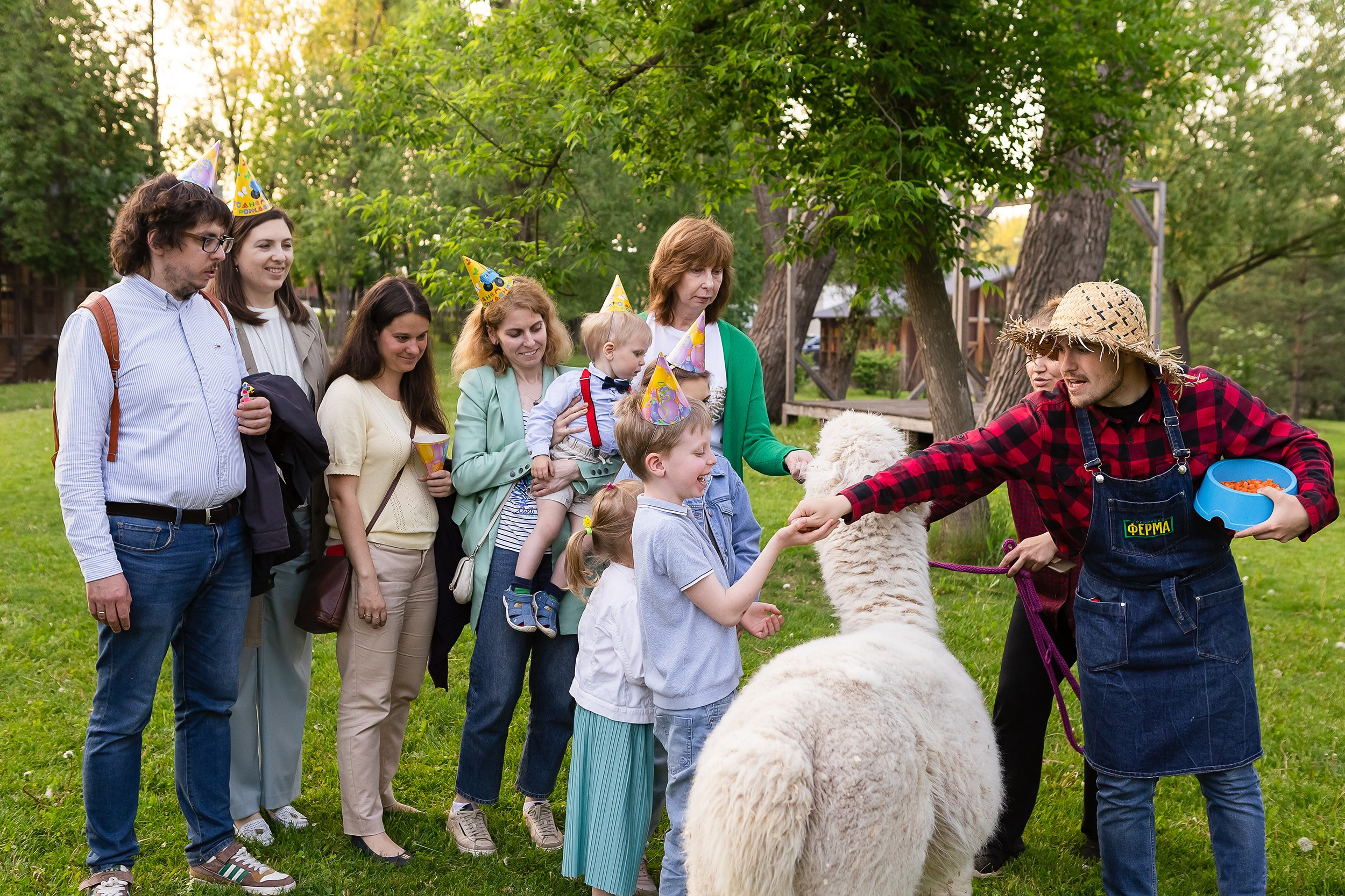 Анимация на детском празднике с ламой