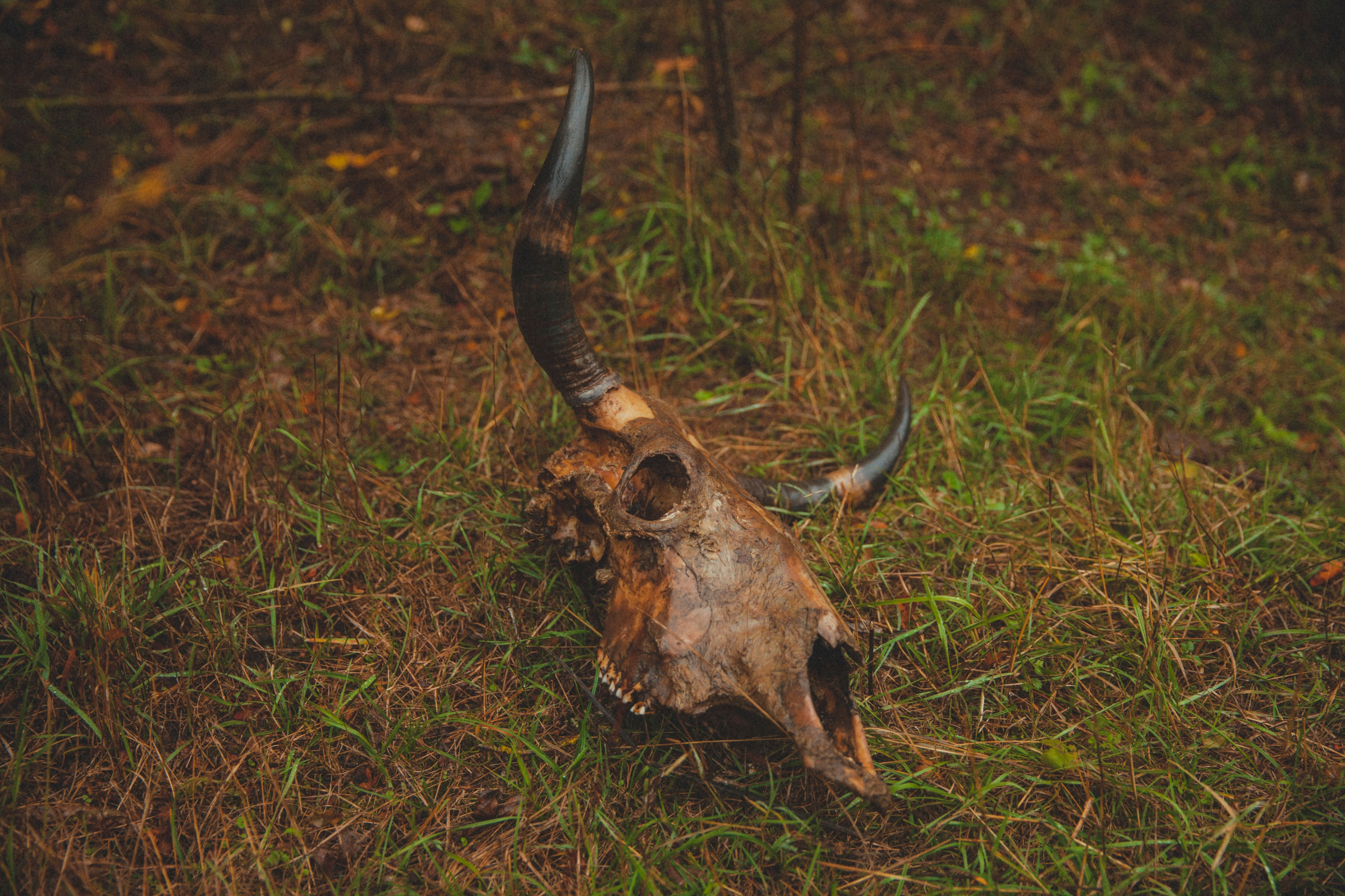 Каспийский страж. Фотограф Александра Степанова