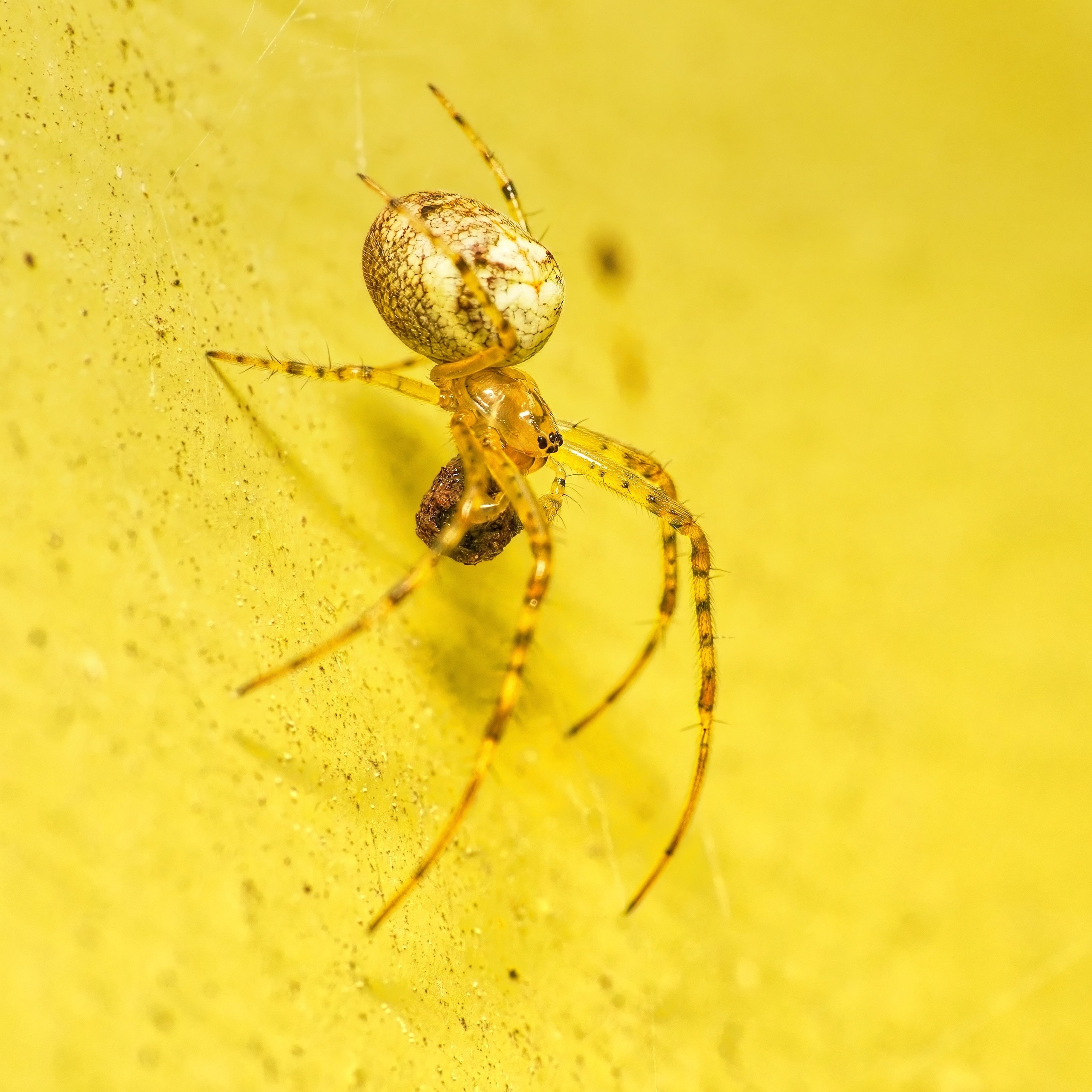 ПРИРОДА. Слепки времени. Фотографии природы и событий. Москва. Сергей Аллагулов