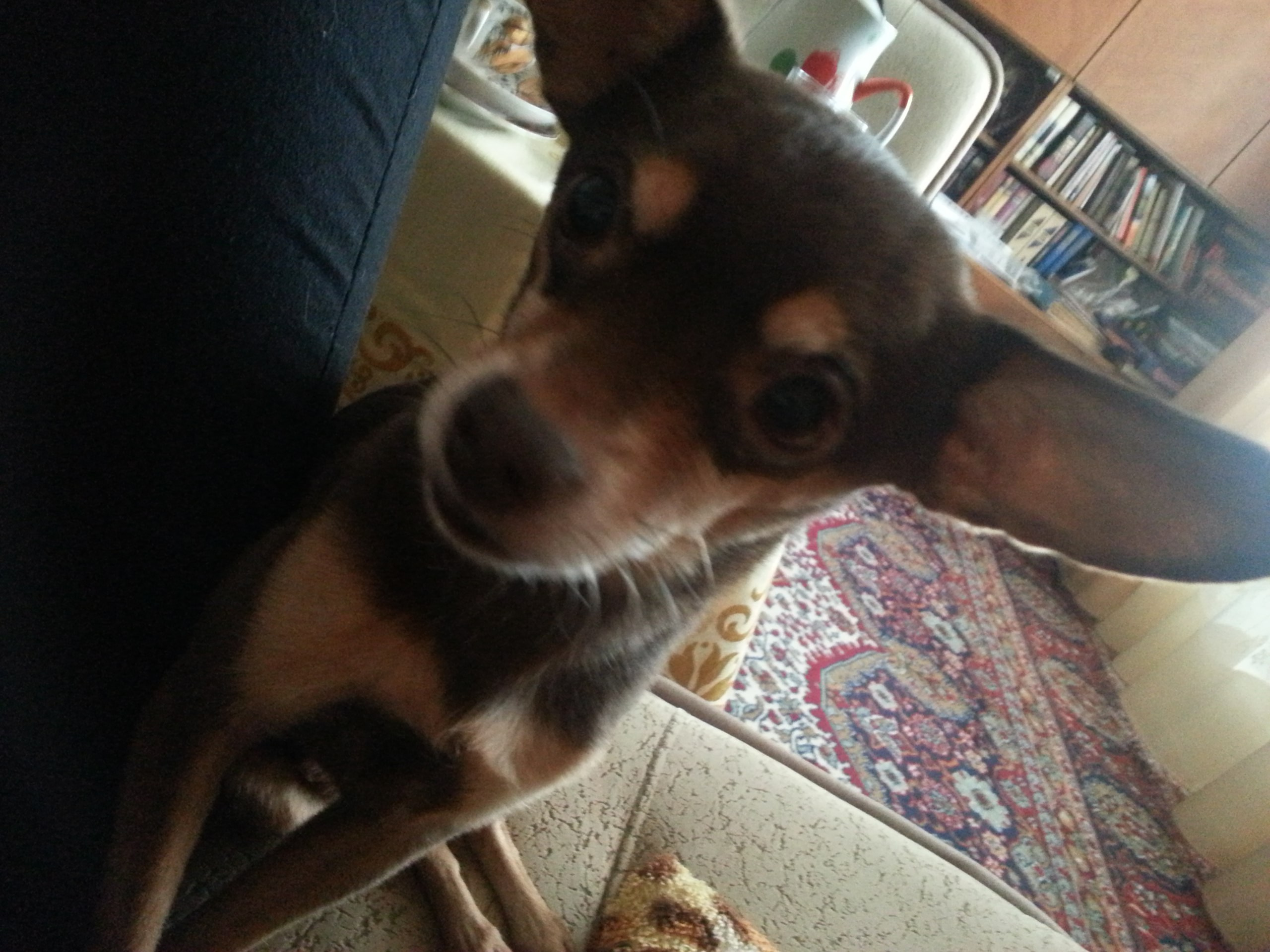 Ноябрь. Семейный, Свадебный фотограф СПБ Питер— Романова Екатерина