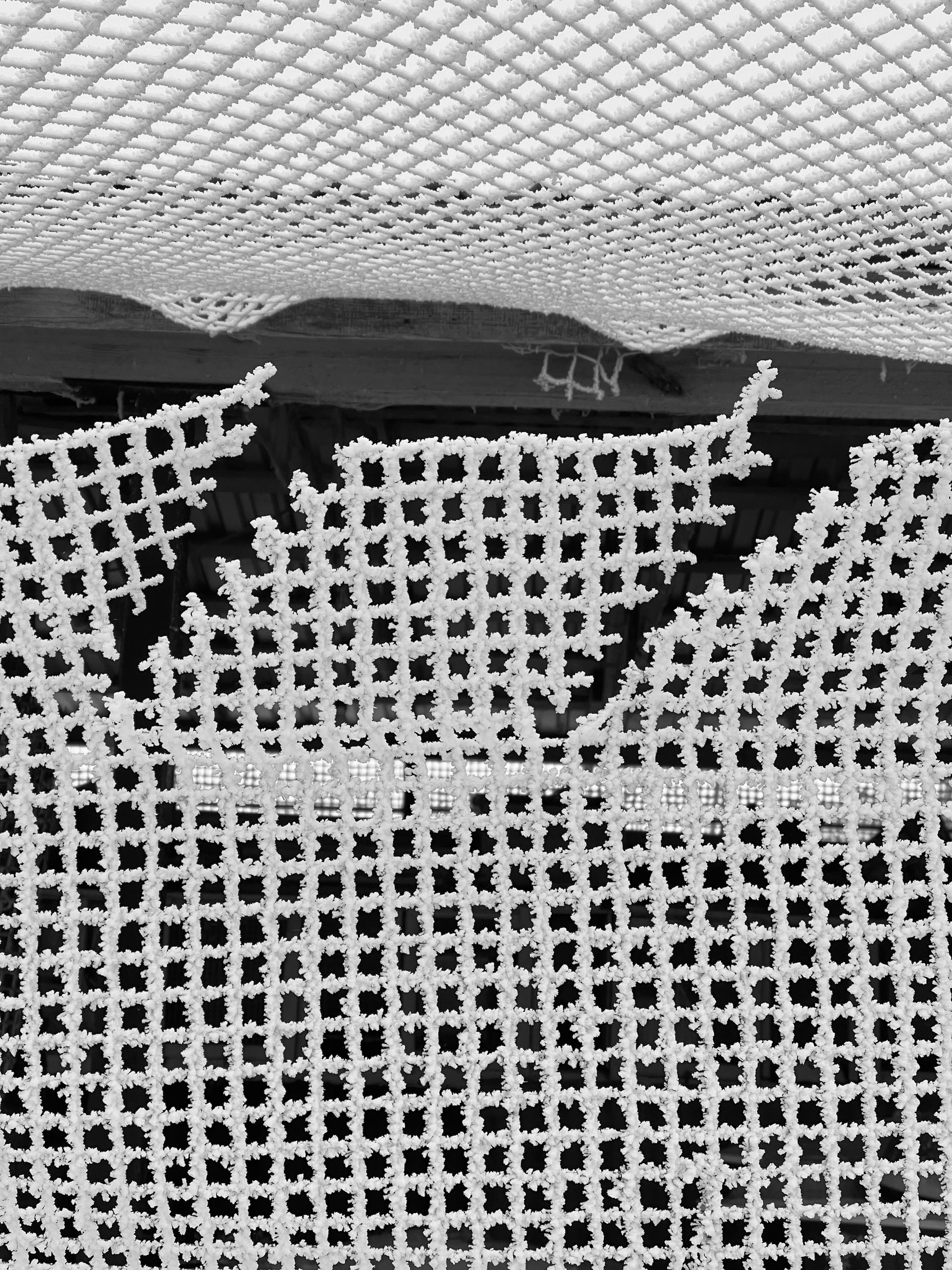 Клетка. Фотограф Мария Усманова, Казань