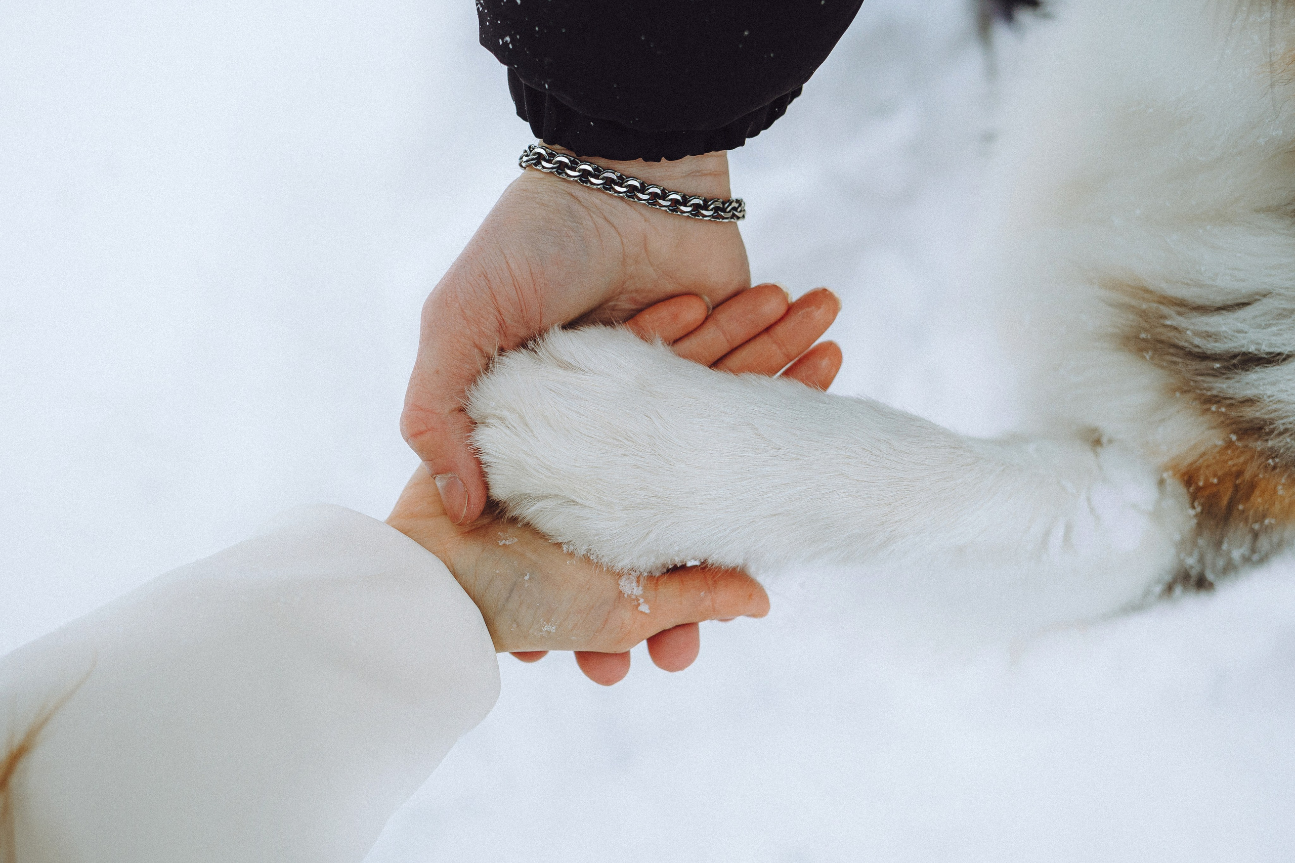Фаня и ее семья