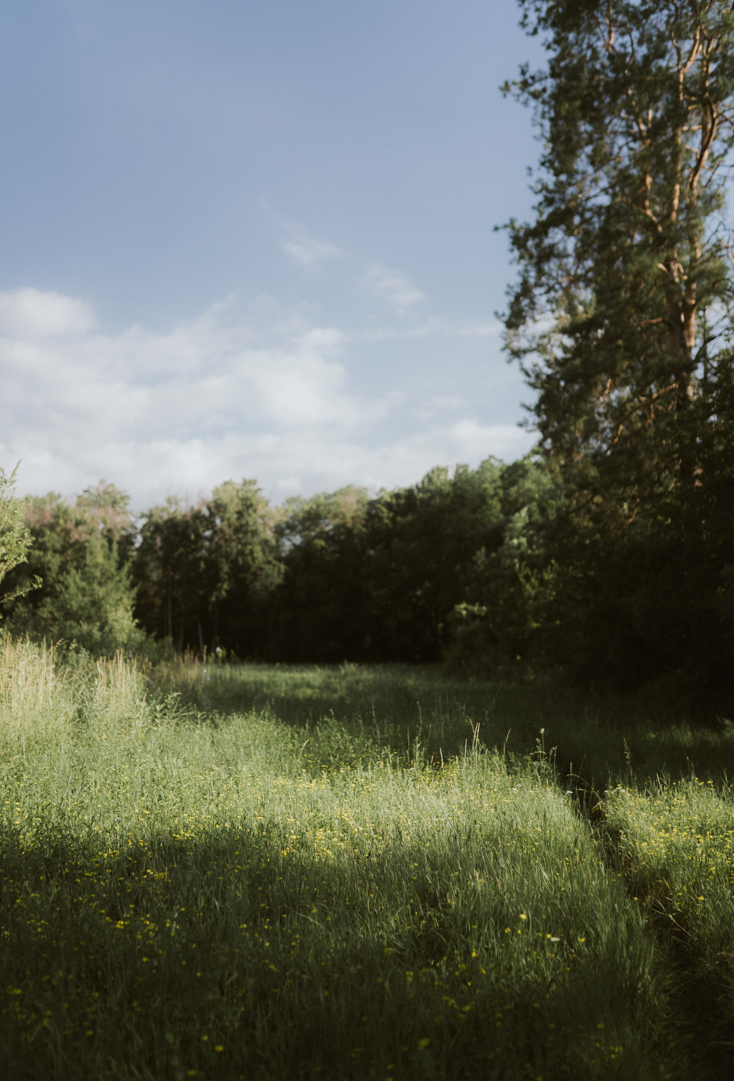 Summer field romance. Фотограф в Алматы Анастасия Новоселова