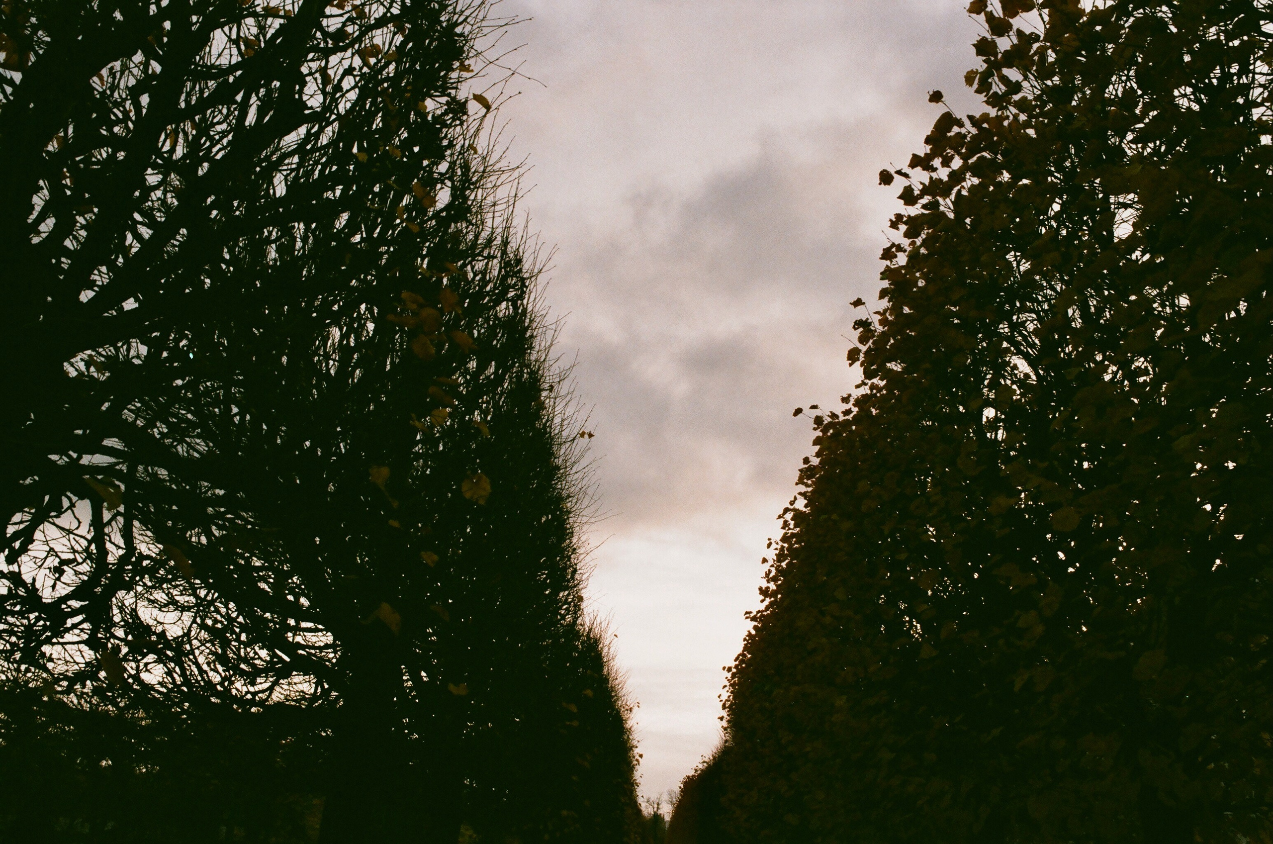 Film. Ruslan UI Dev Page