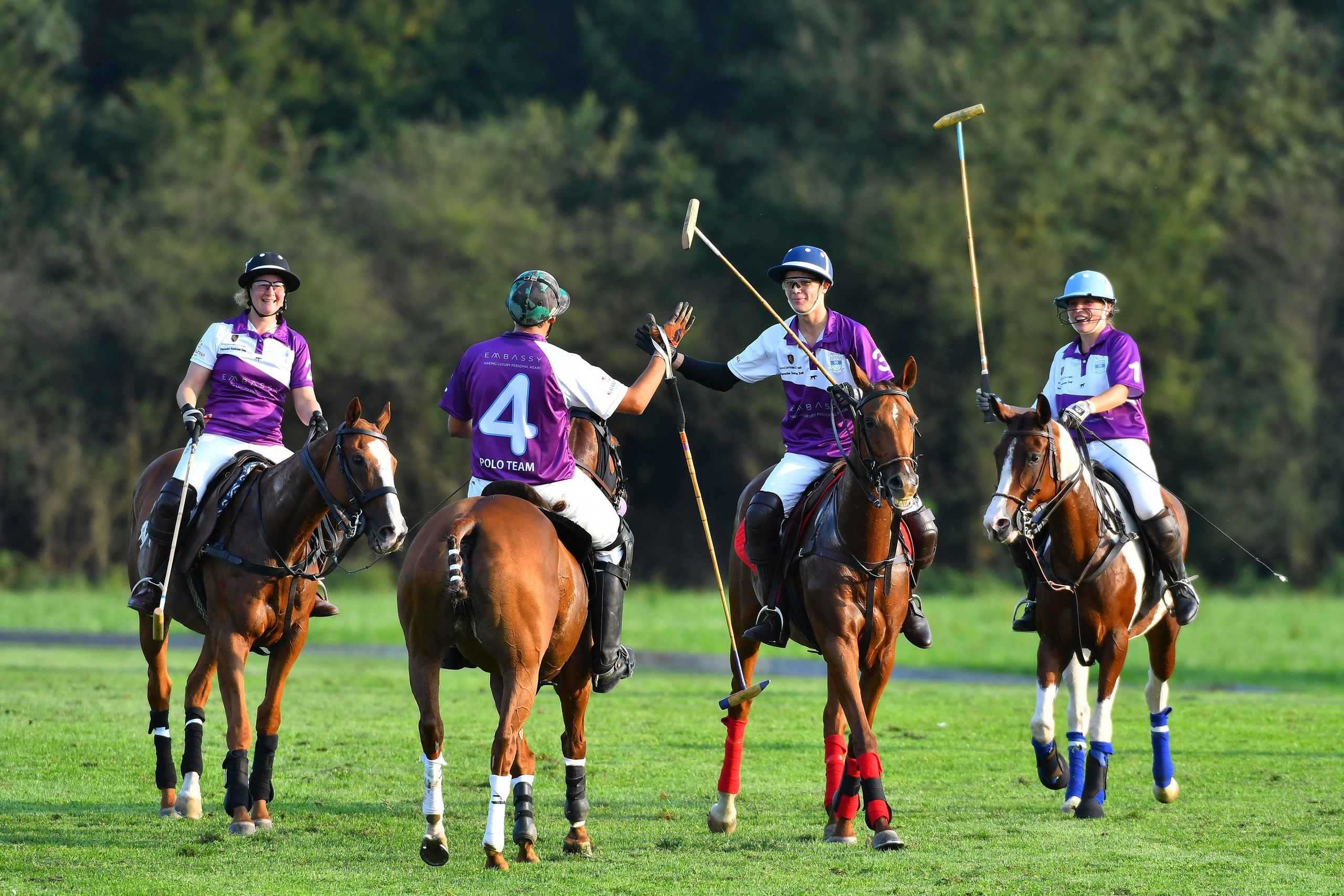 Polo art photos. Art photos of horses — ARTUR BABOEV | Photographer