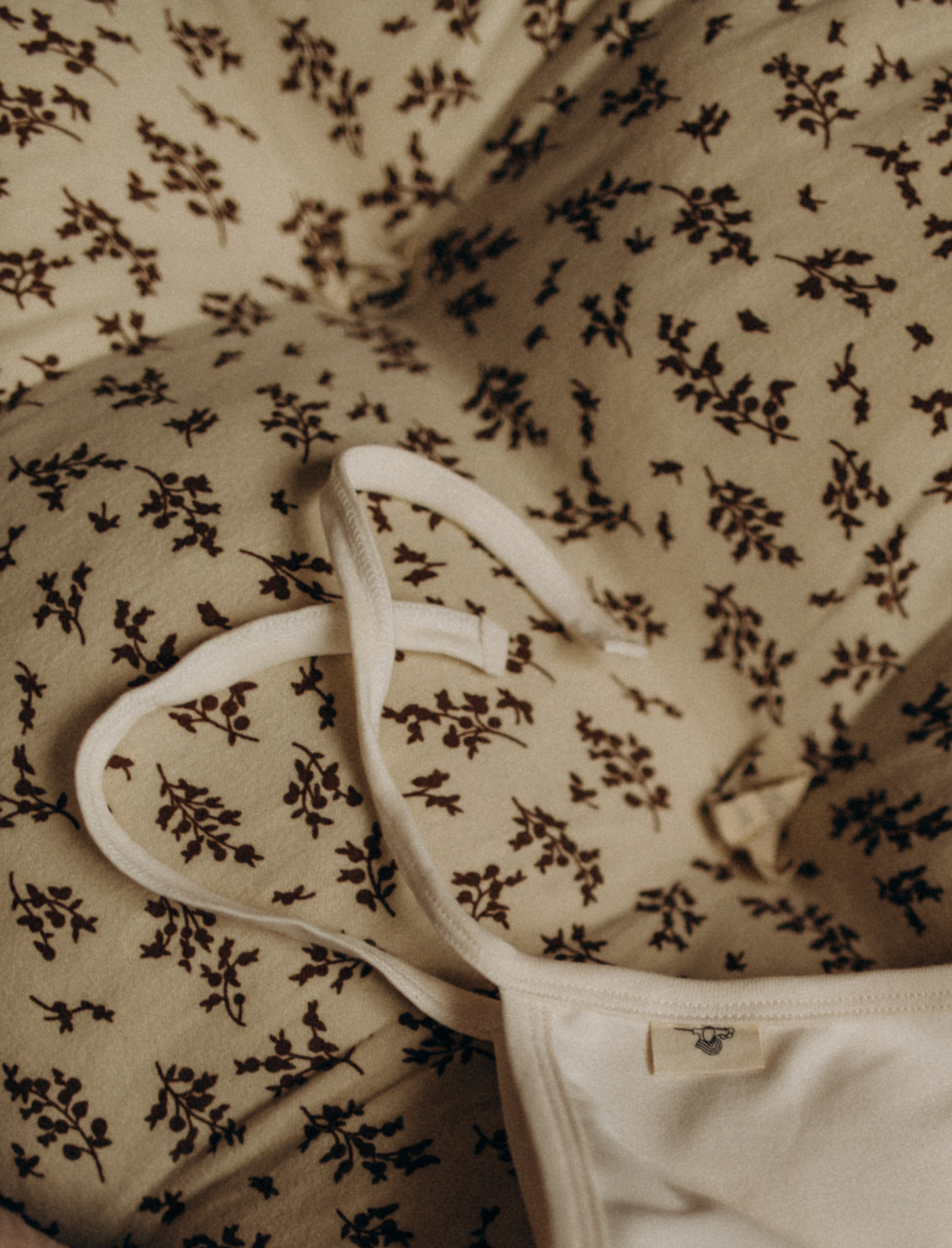 София и Леон. Услуги