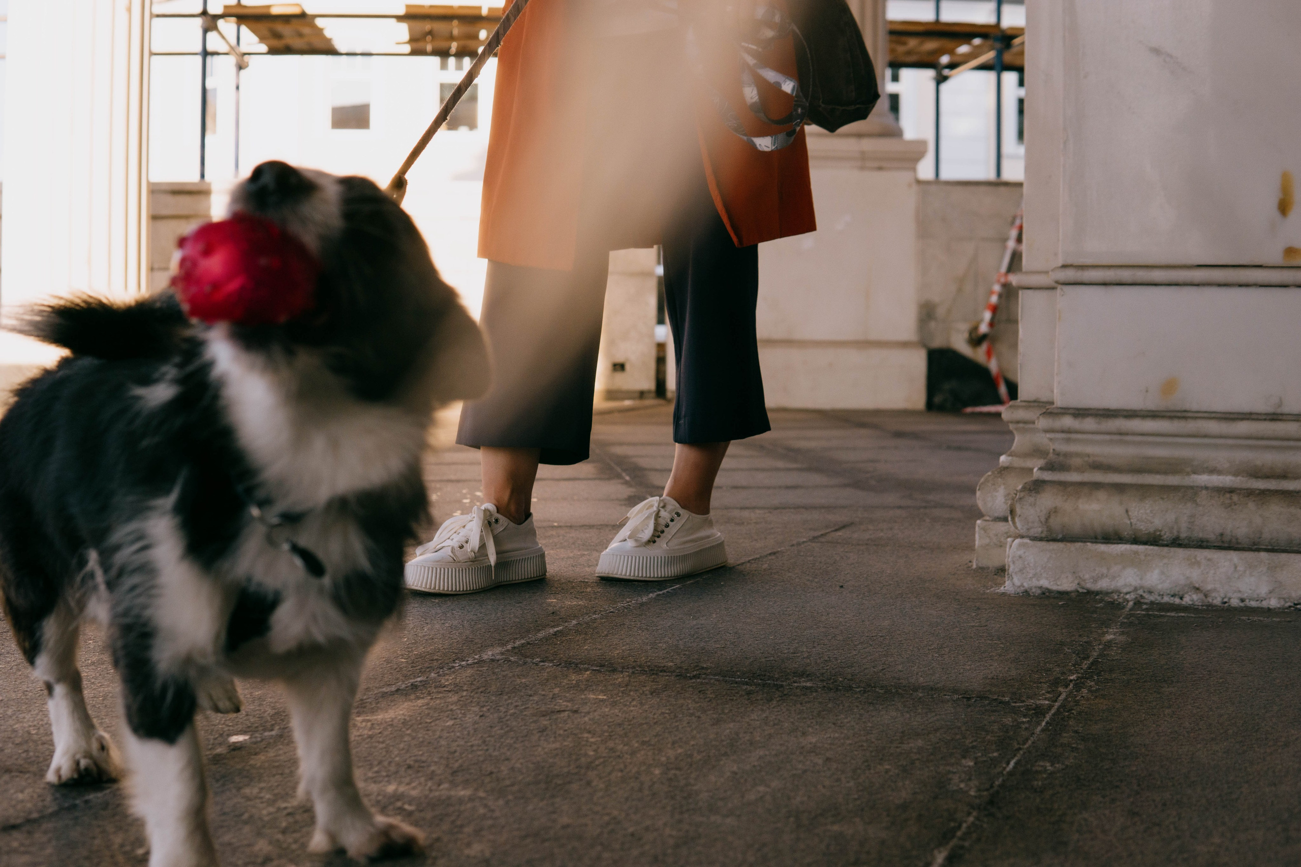 Даша и Тюбик. Фотограф-анималист Ксения Воробьева, Москва