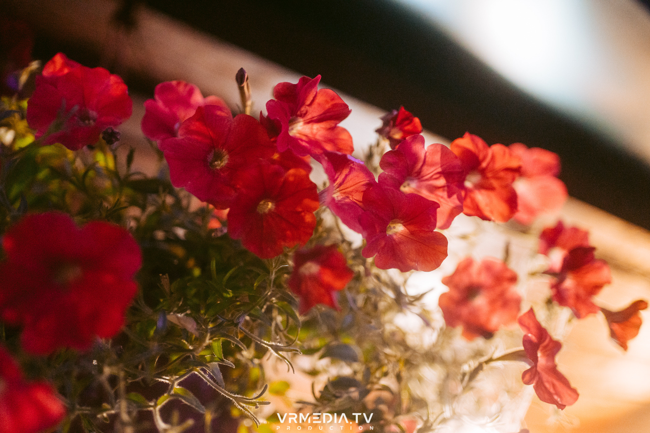 В гостях «У Петровича»