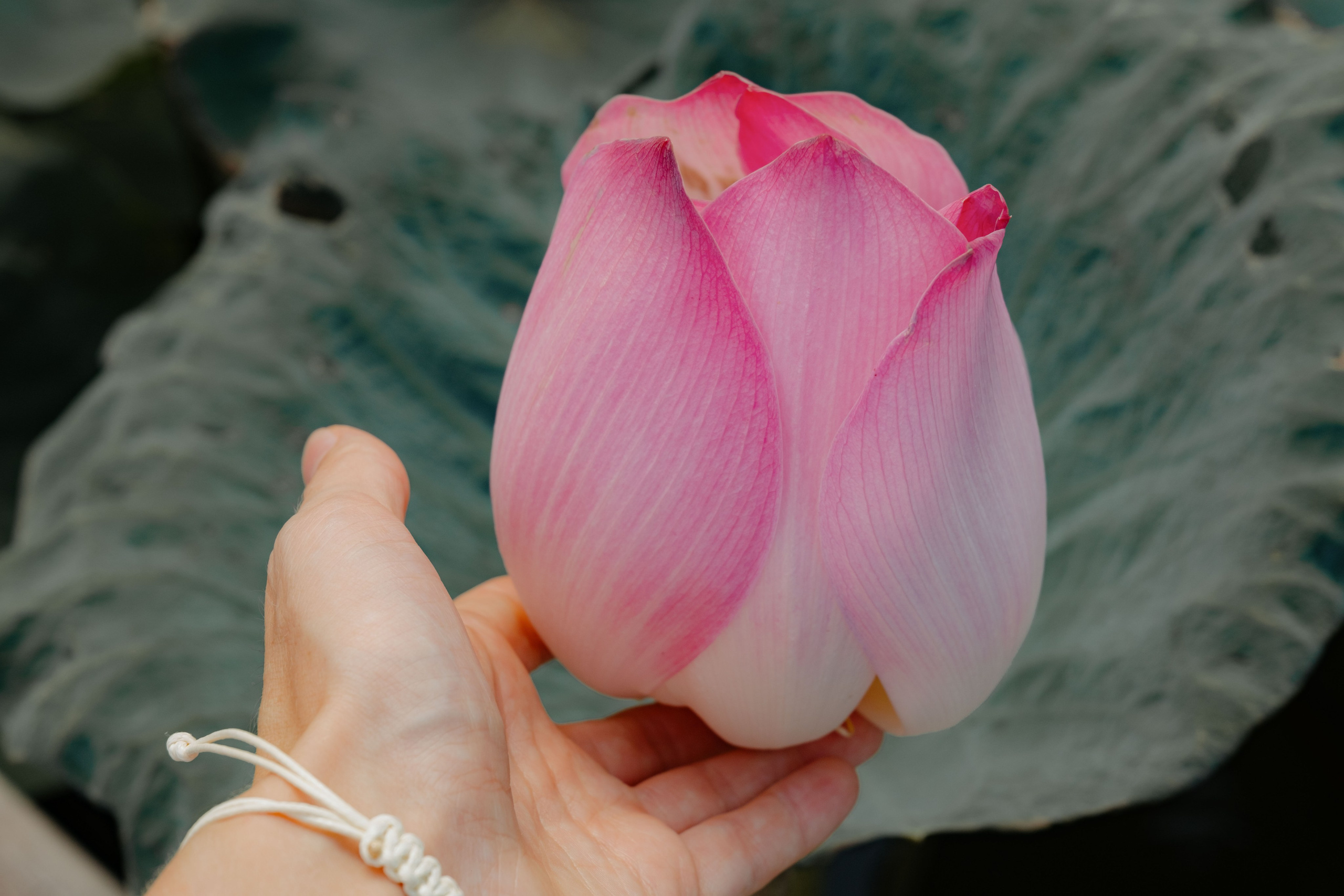 Локация "Озеро Лотосов". Портретный фотограф Нячанг | Юлия Мешанина