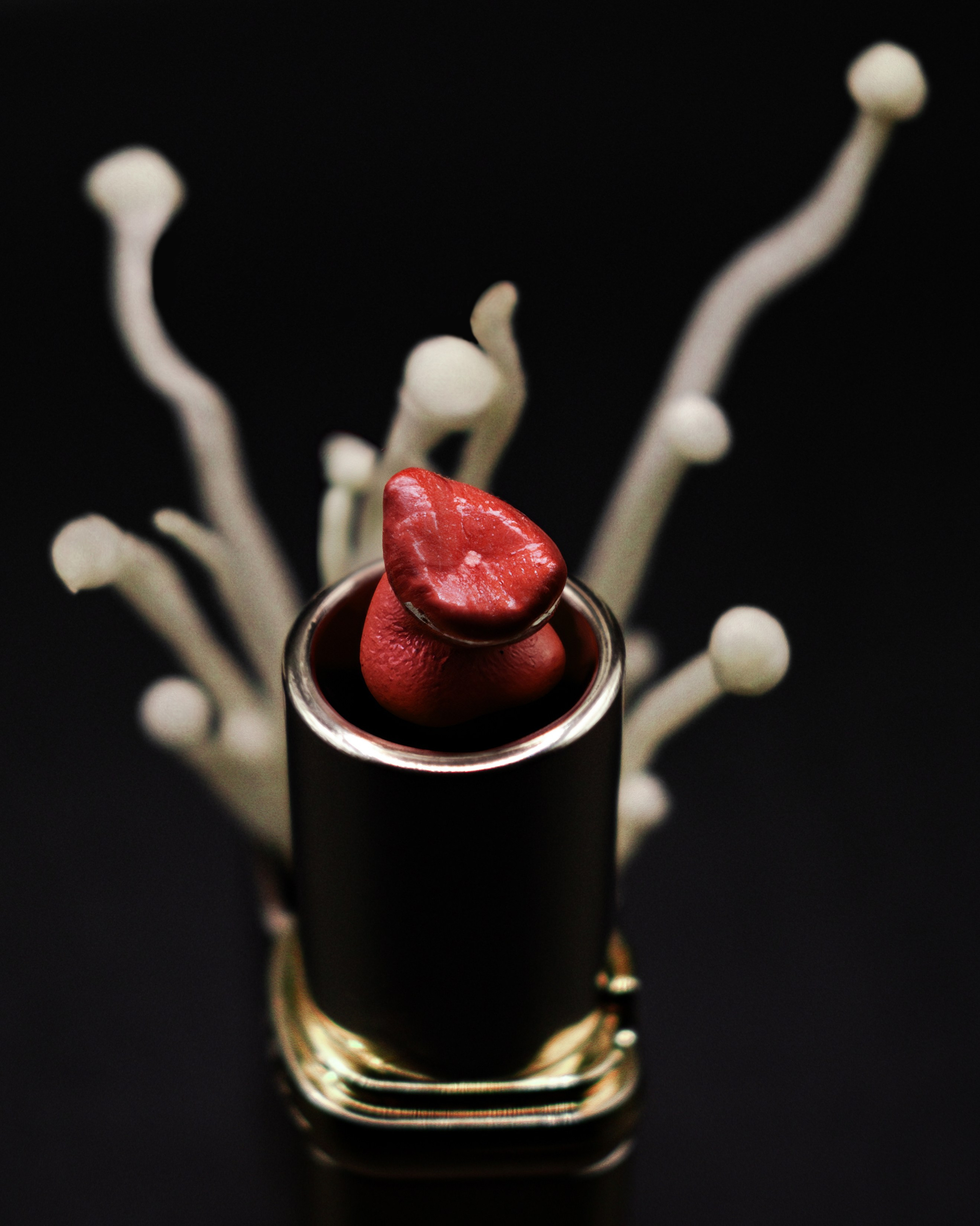 Helix. Фотограф Санкт-Петербург/ Москва Сланцем Нина