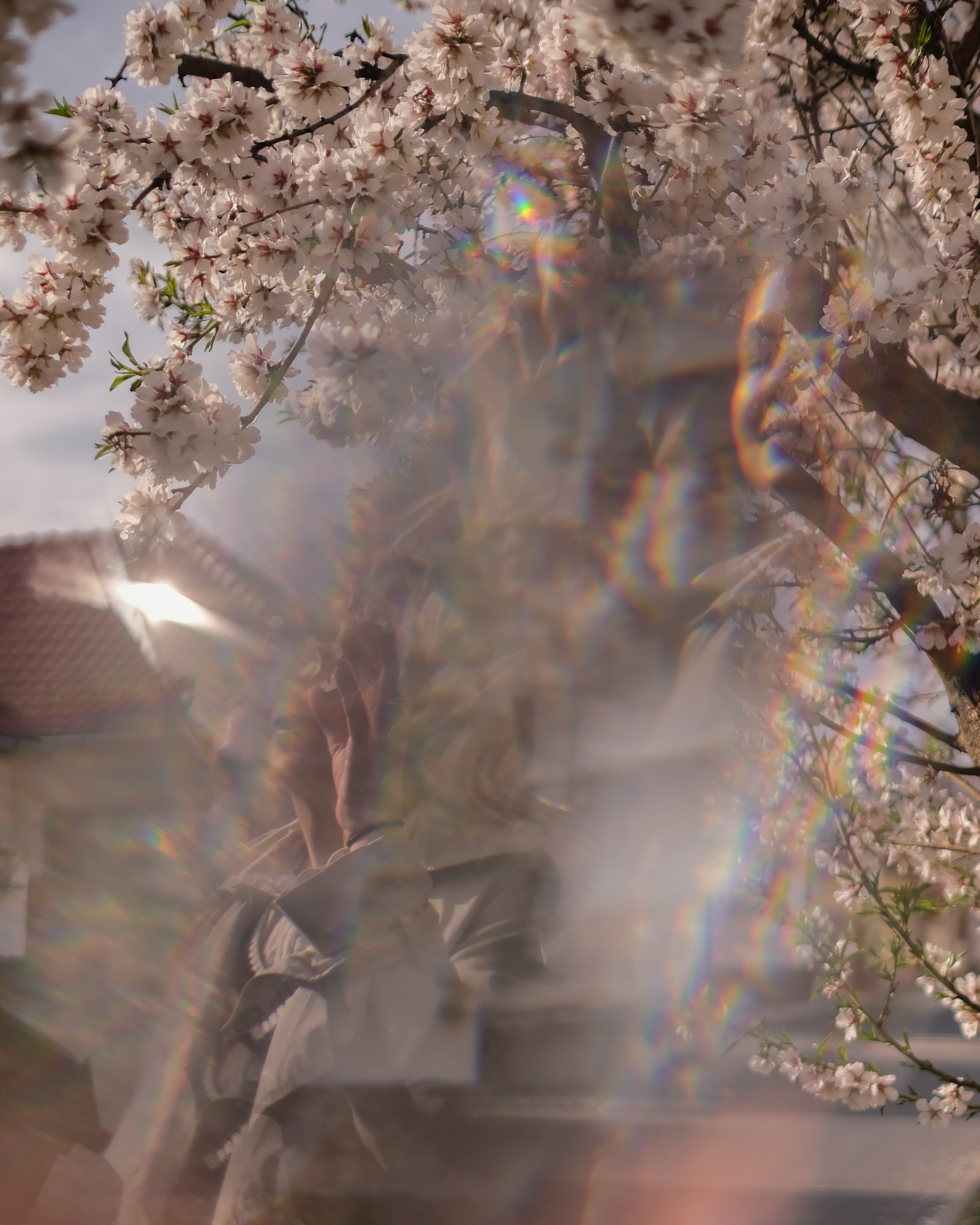 Elena. Blooming in Budapest. Portrait photographer Olga Prokopova based in Budapest