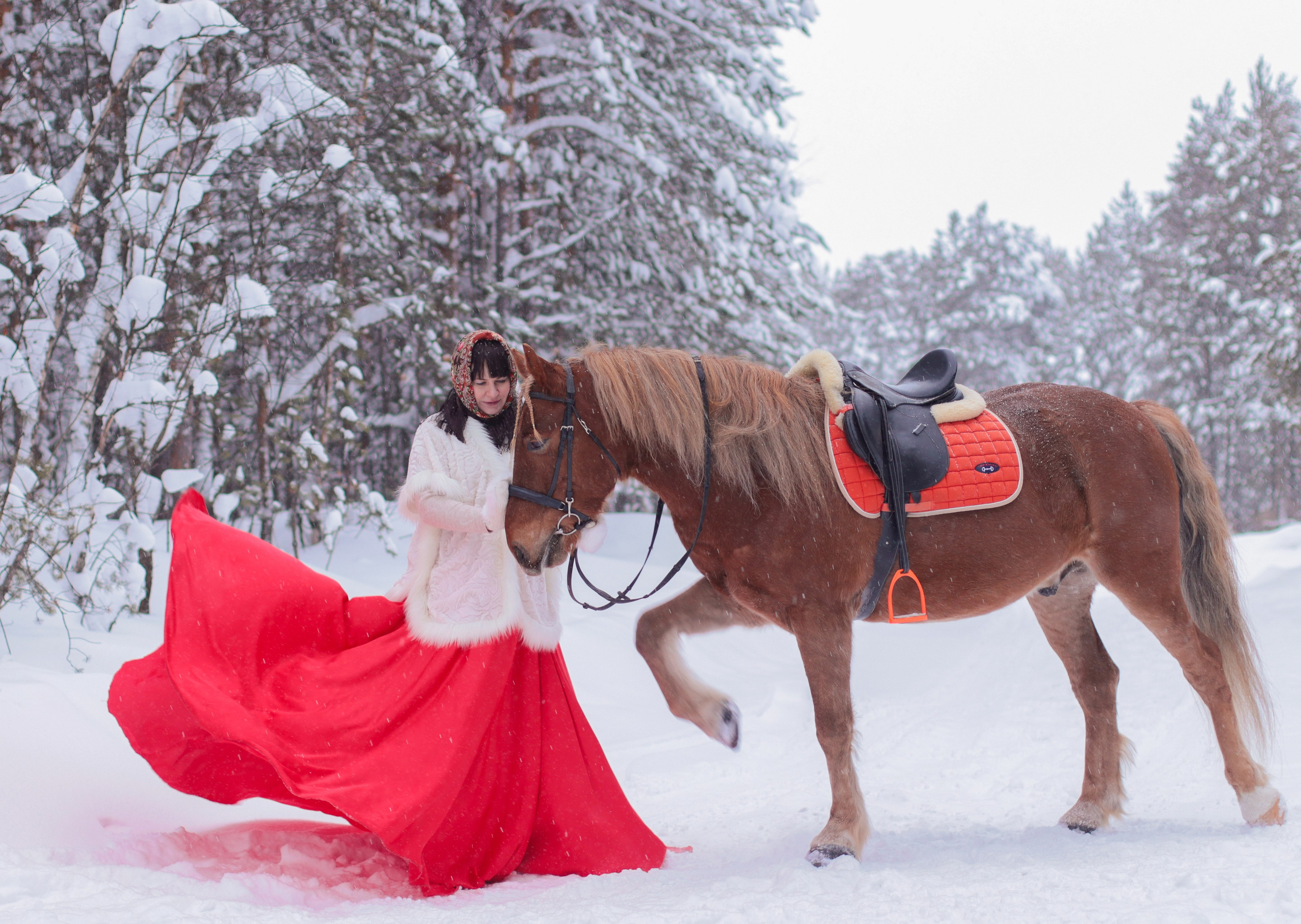 Конные съемки зимой. Фотограф в Сургуте Брызгунова Анастасия