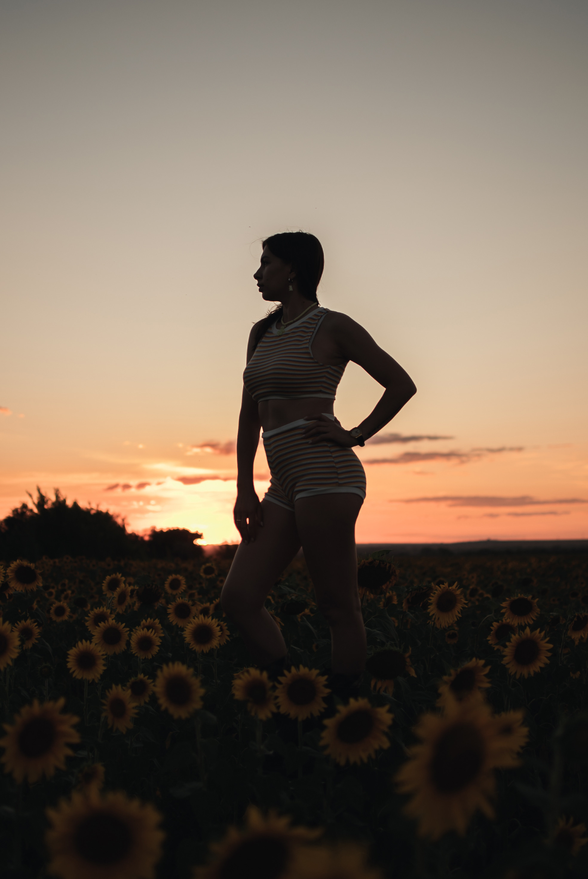 Солнечная Мария в подсолнухах. Семейный фотограф в Оренбурге Анна Рожкова