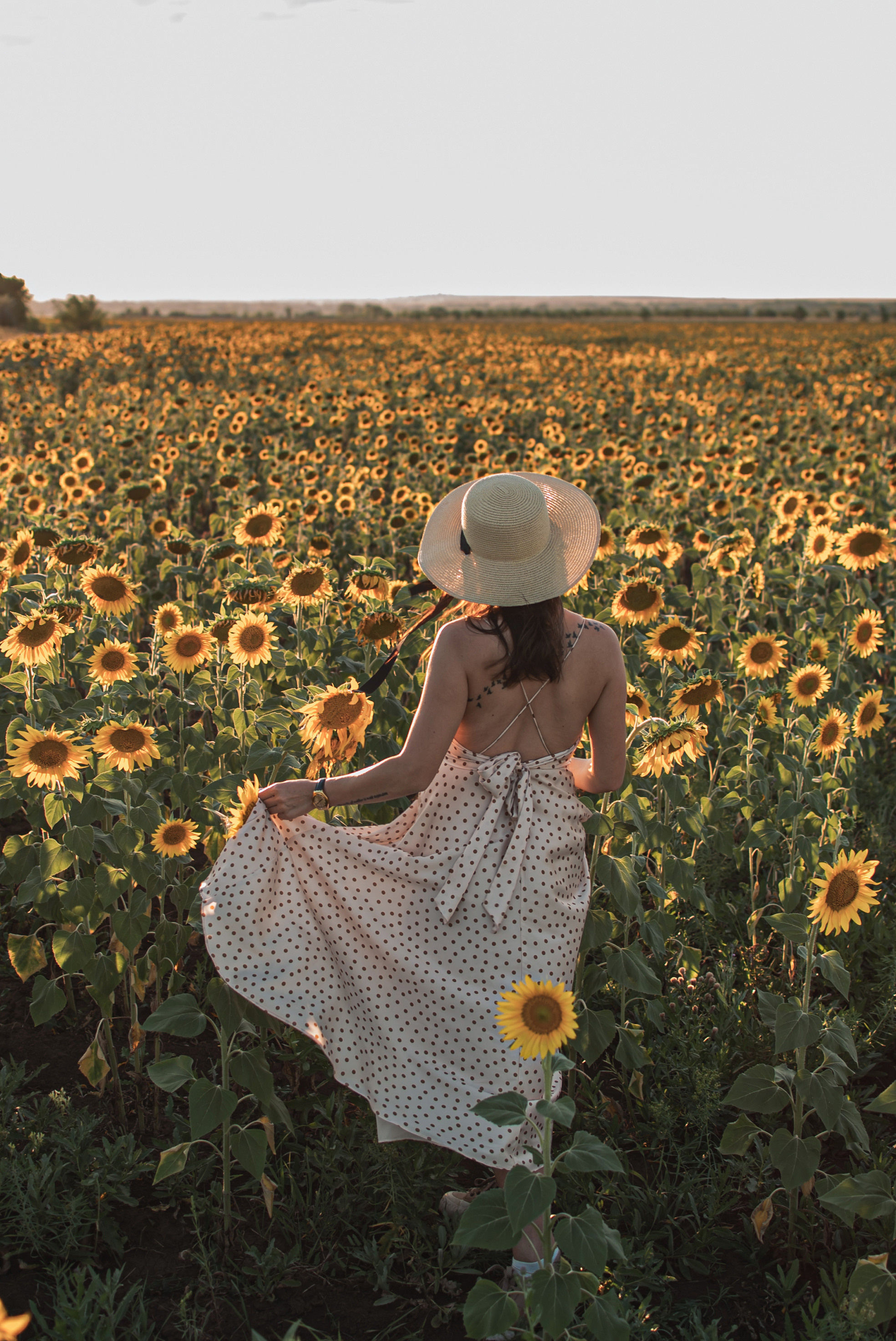 Солнечная Мария в подсолнухах. Семейный фотограф в Оренбурге Анна Рожкова