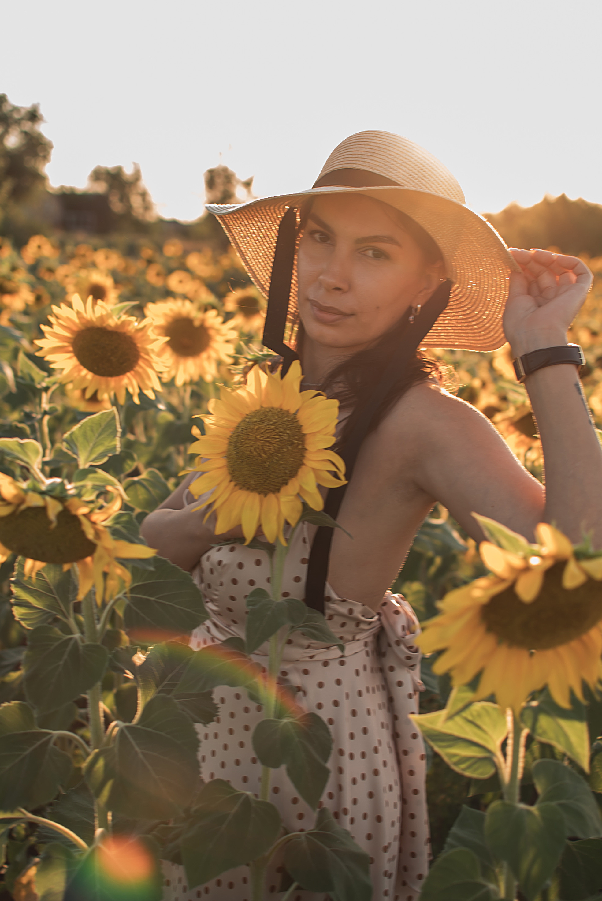 Солнечная Мария в подсолнухах. Семейный фотограф в Оренбурге Анна Рожкова