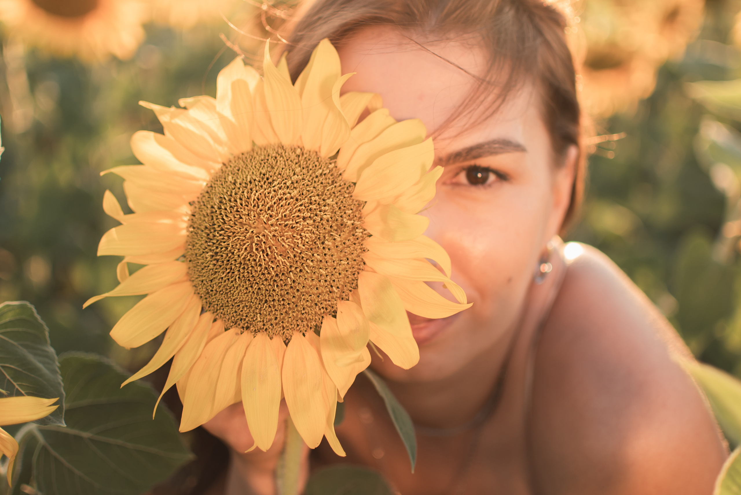 Солнечная Мария в подсолнухах. Семейный фотограф в Оренбурге Анна Рожкова