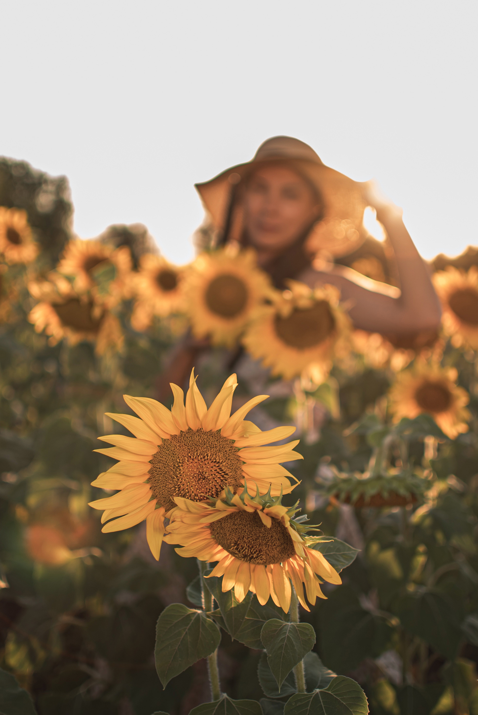 Солнечная Мария в подсолнухах. Семейный фотограф в Оренбурге Анна Рожкова