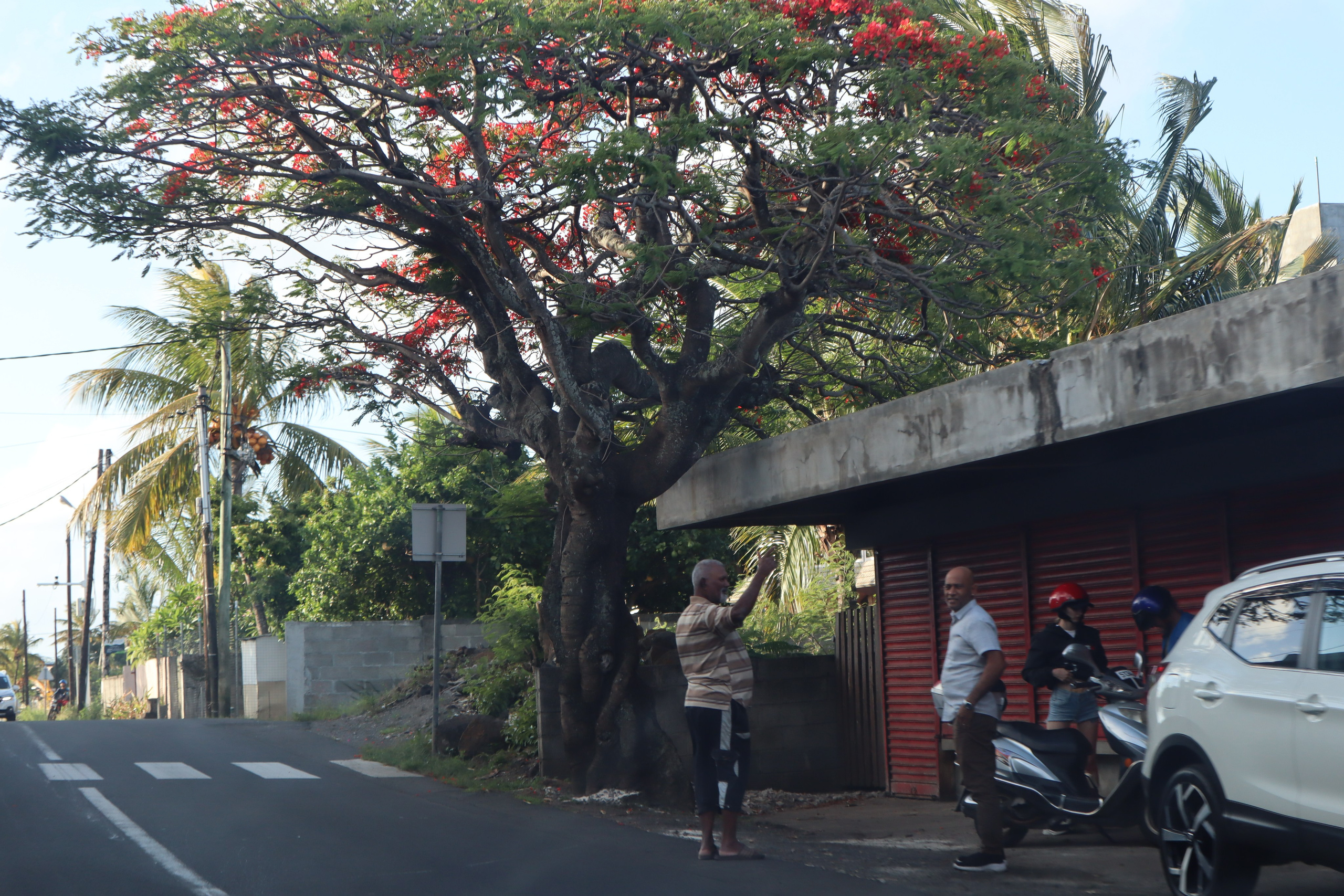 Путешествие на родину птицы додо. Travel photographer Ksenia