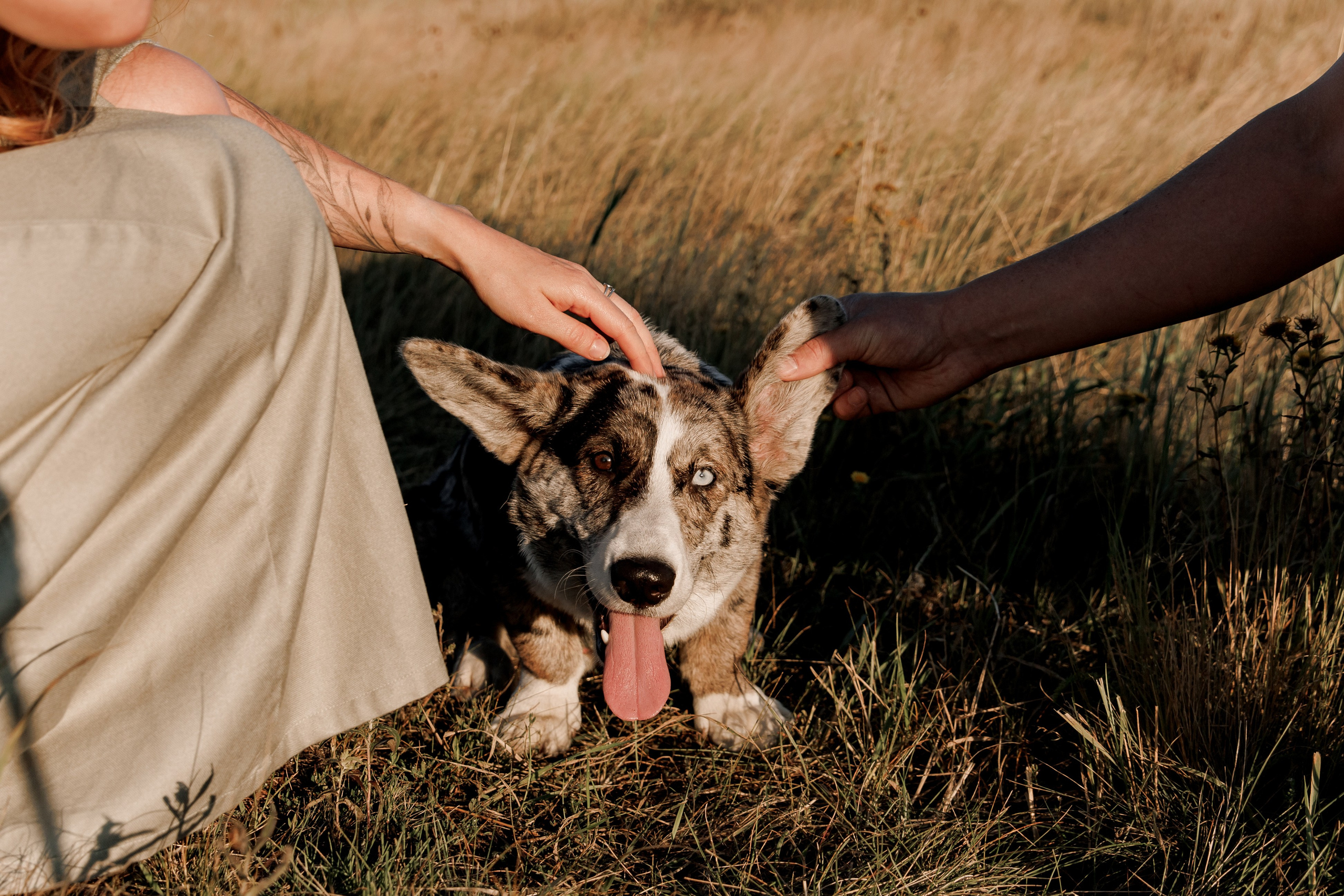 За городом. Свадебный и семейный фотограф в Екатеринбурге Катя Буряк