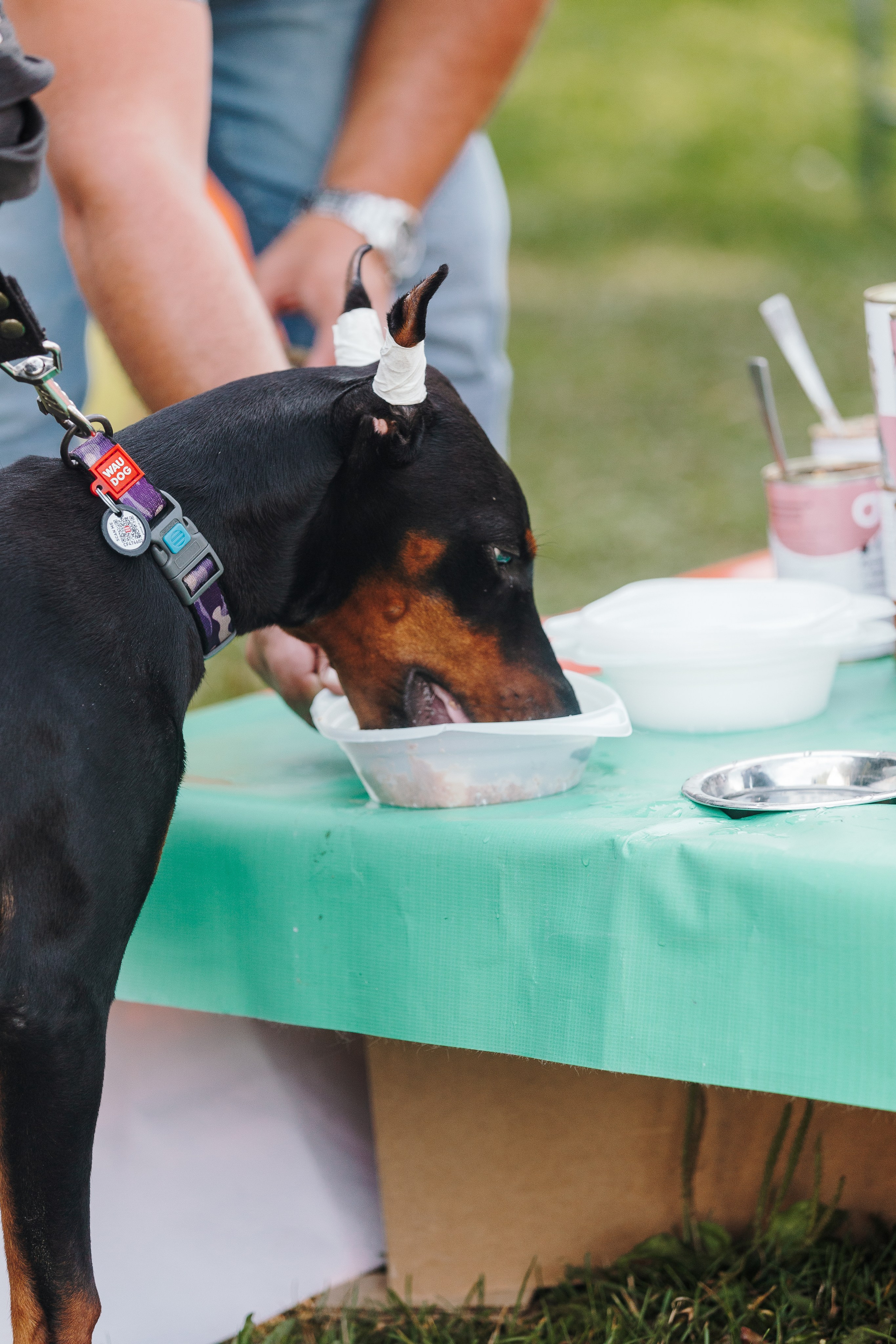 Petshop Sup day. Фотограф анималист Кристина Карпова, Москва